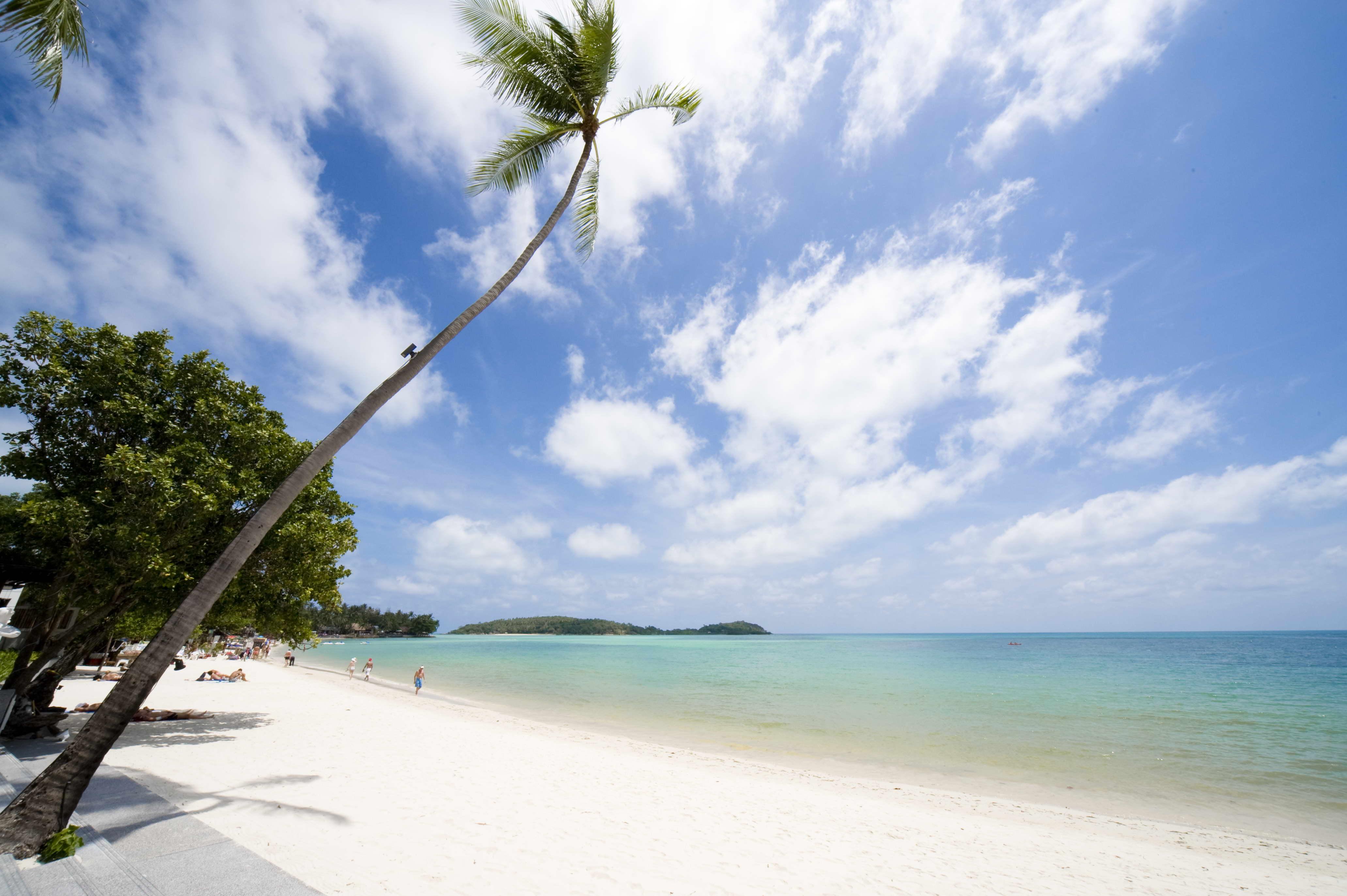Bo Phut And - Sha Resort