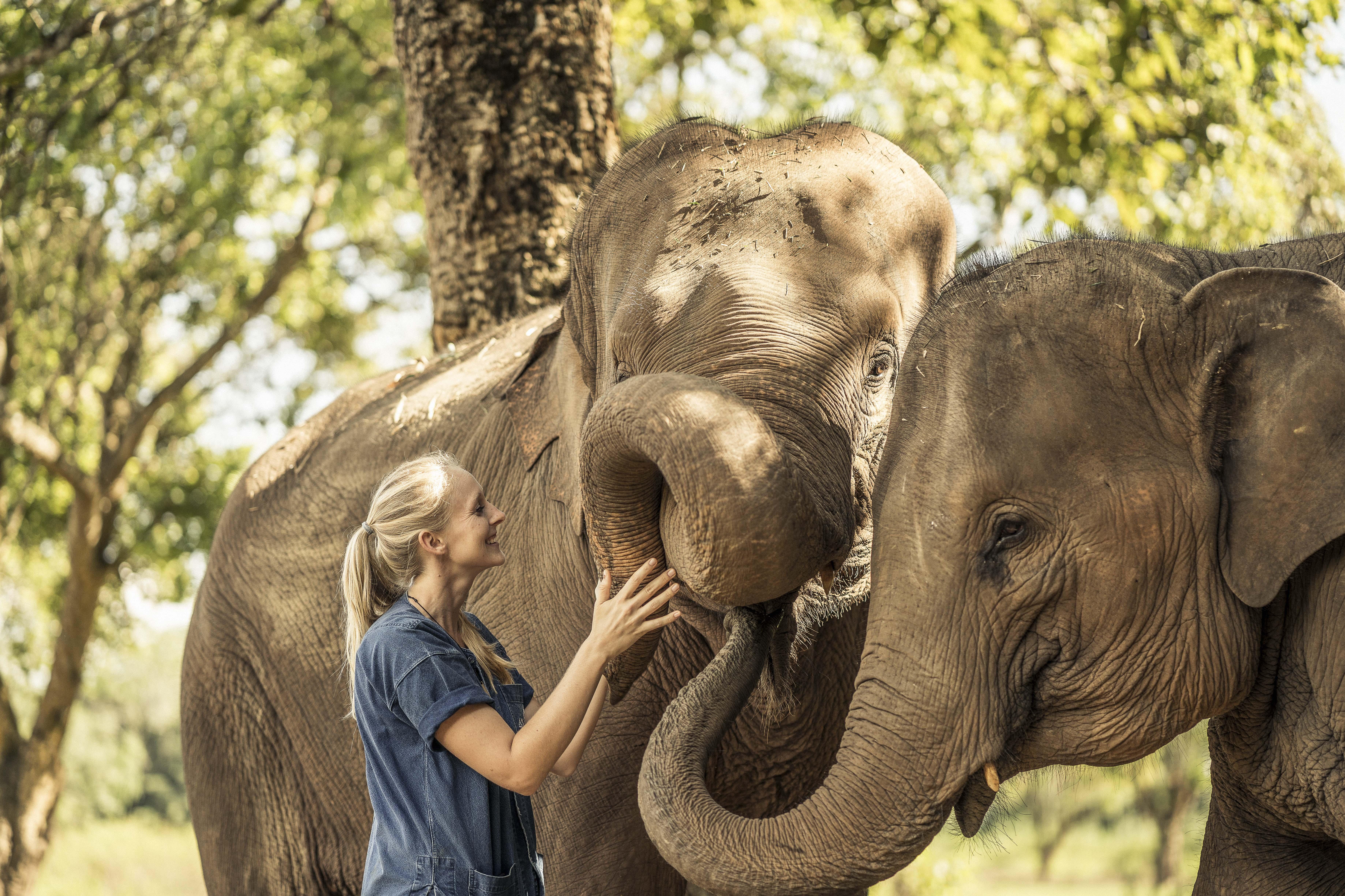 Anantara Golden Triangle Elephant Camp & 5* Chiang Rai
