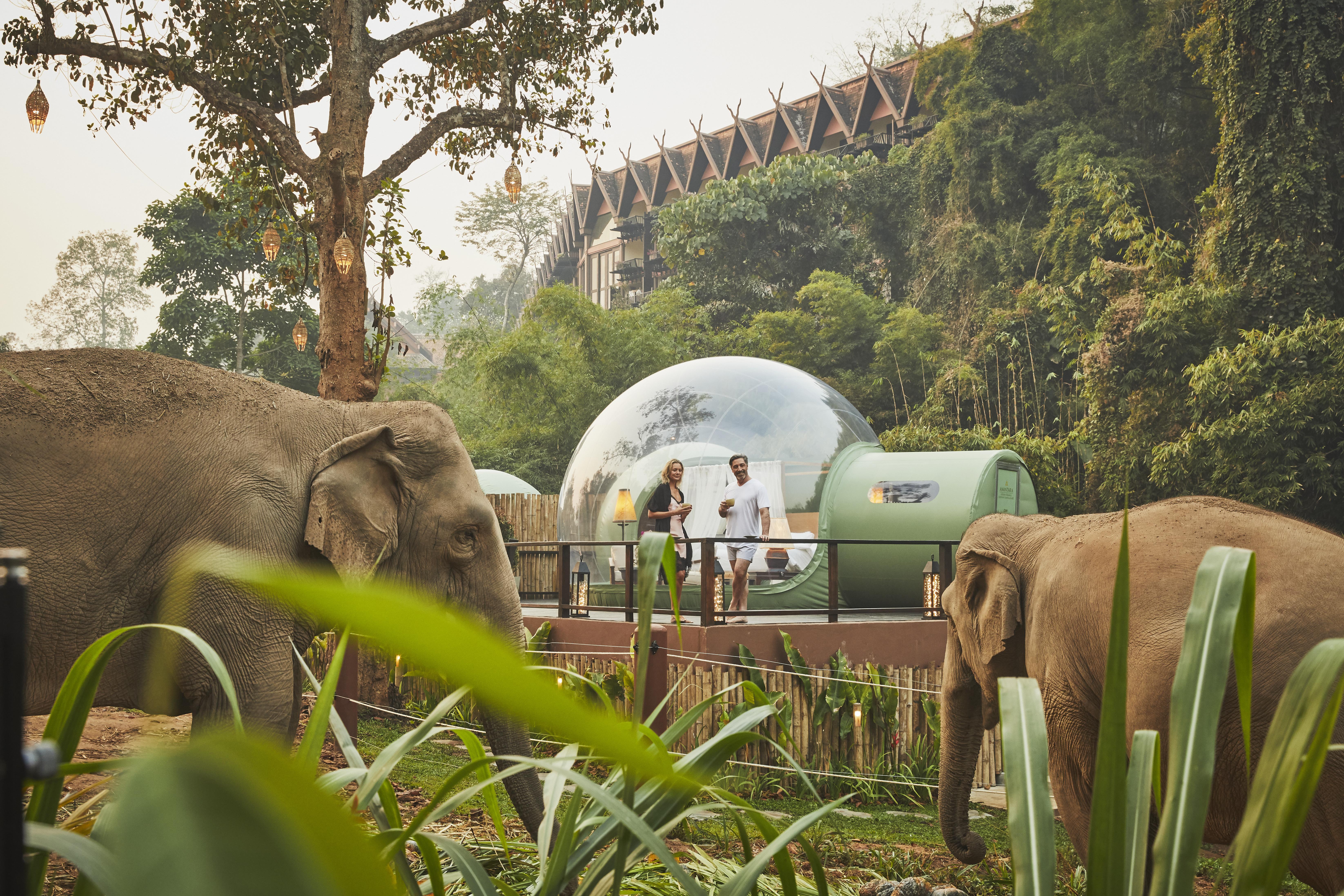 Anantara Golden Triangle Elephant Camp & Chiang Rai