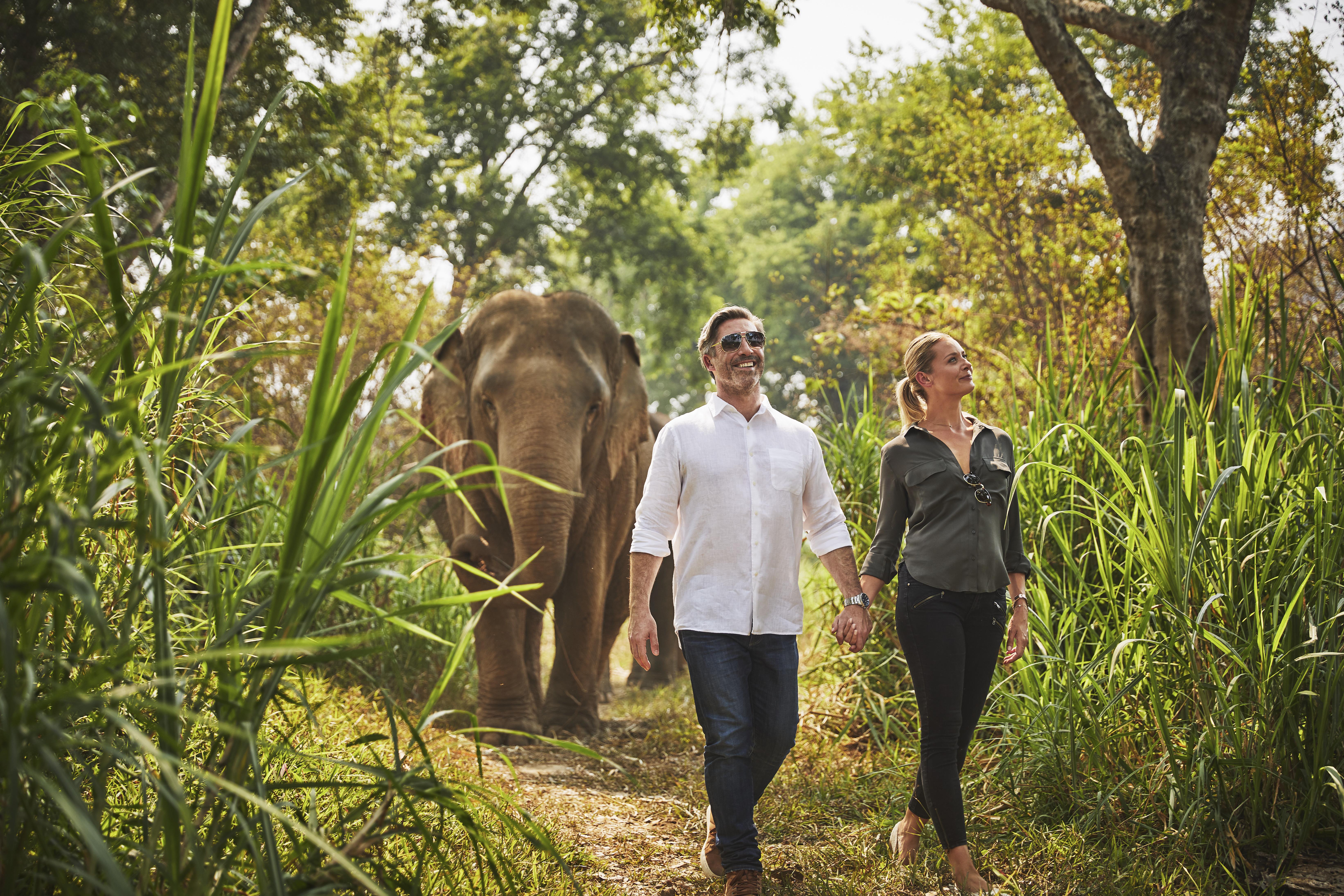 Anantara Golden Triangle Elephant Camp &