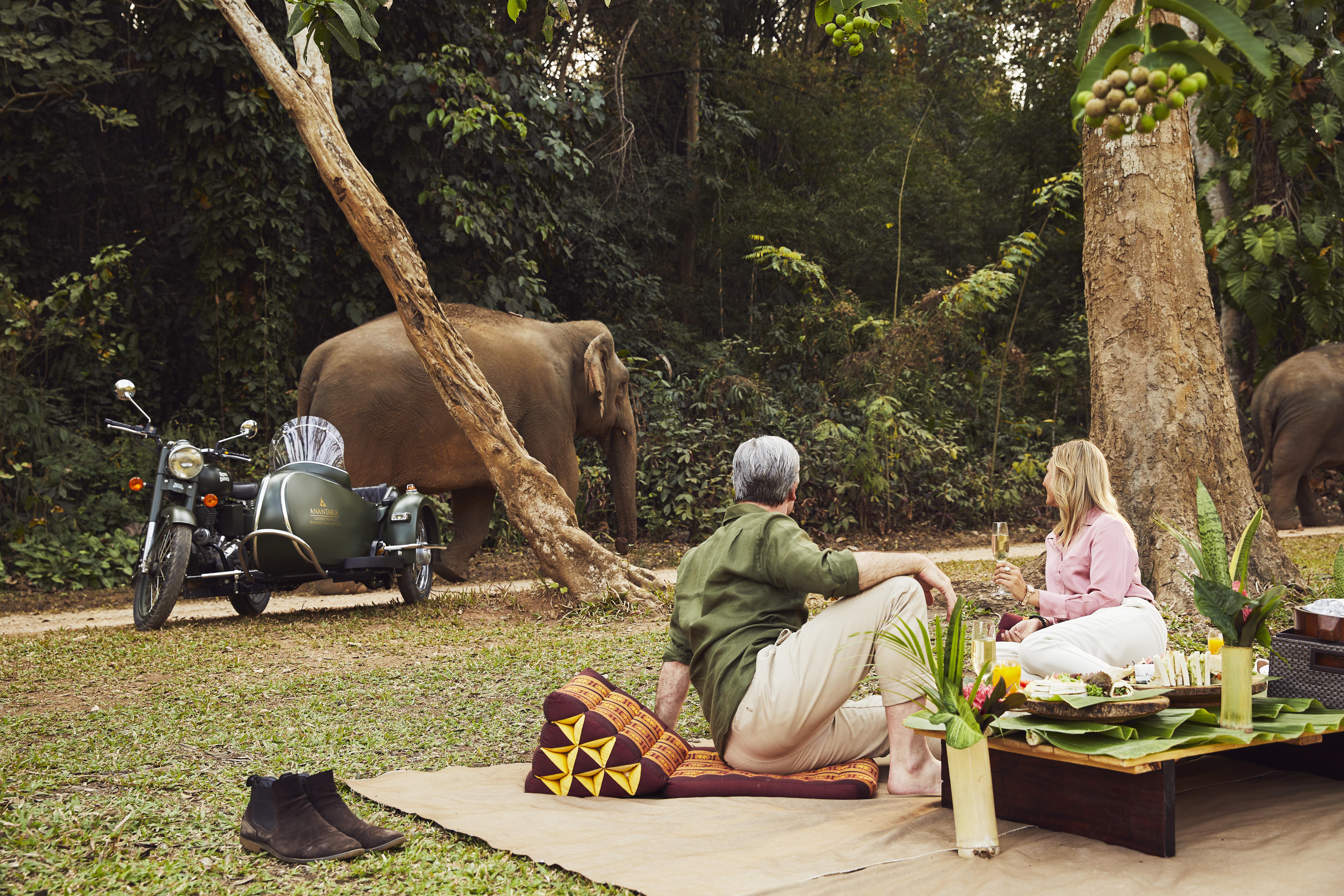 Anantara Golden Triangle Elephant Camp & Resort Chiang Rai