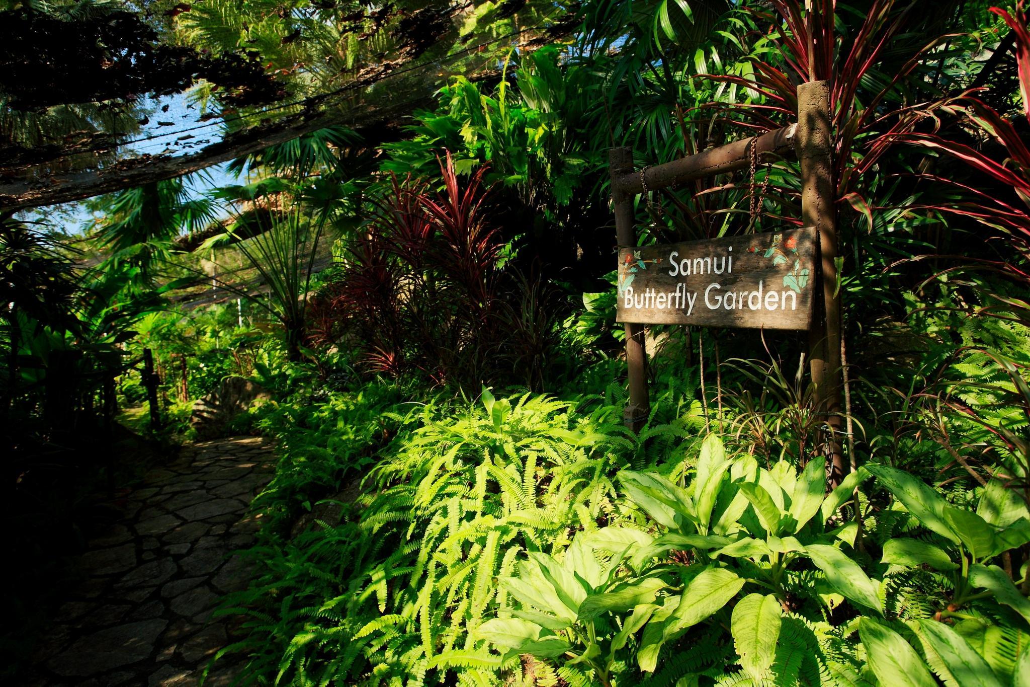 Centara Samui - Sha Resort
