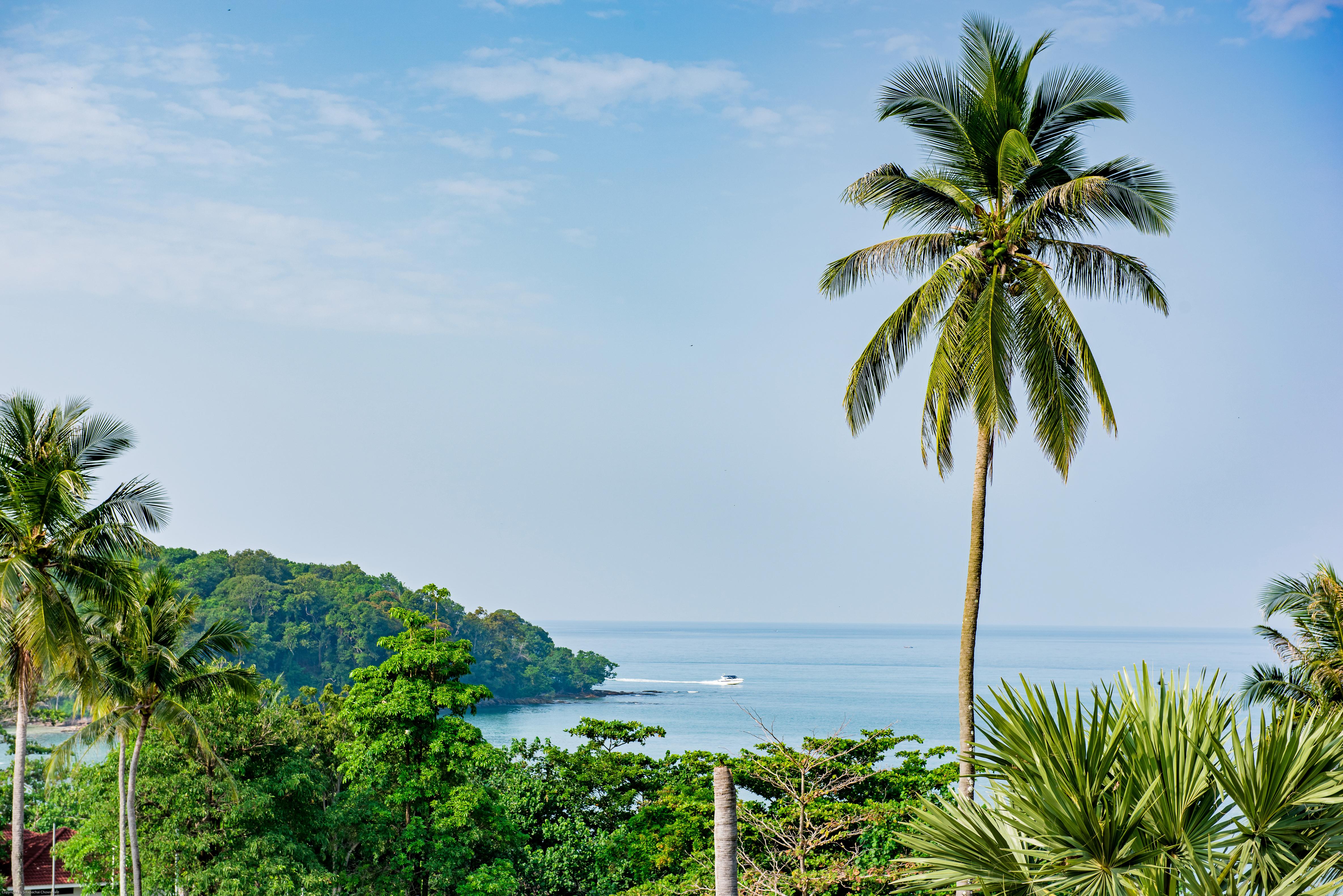 The Pelican 4* Krabi