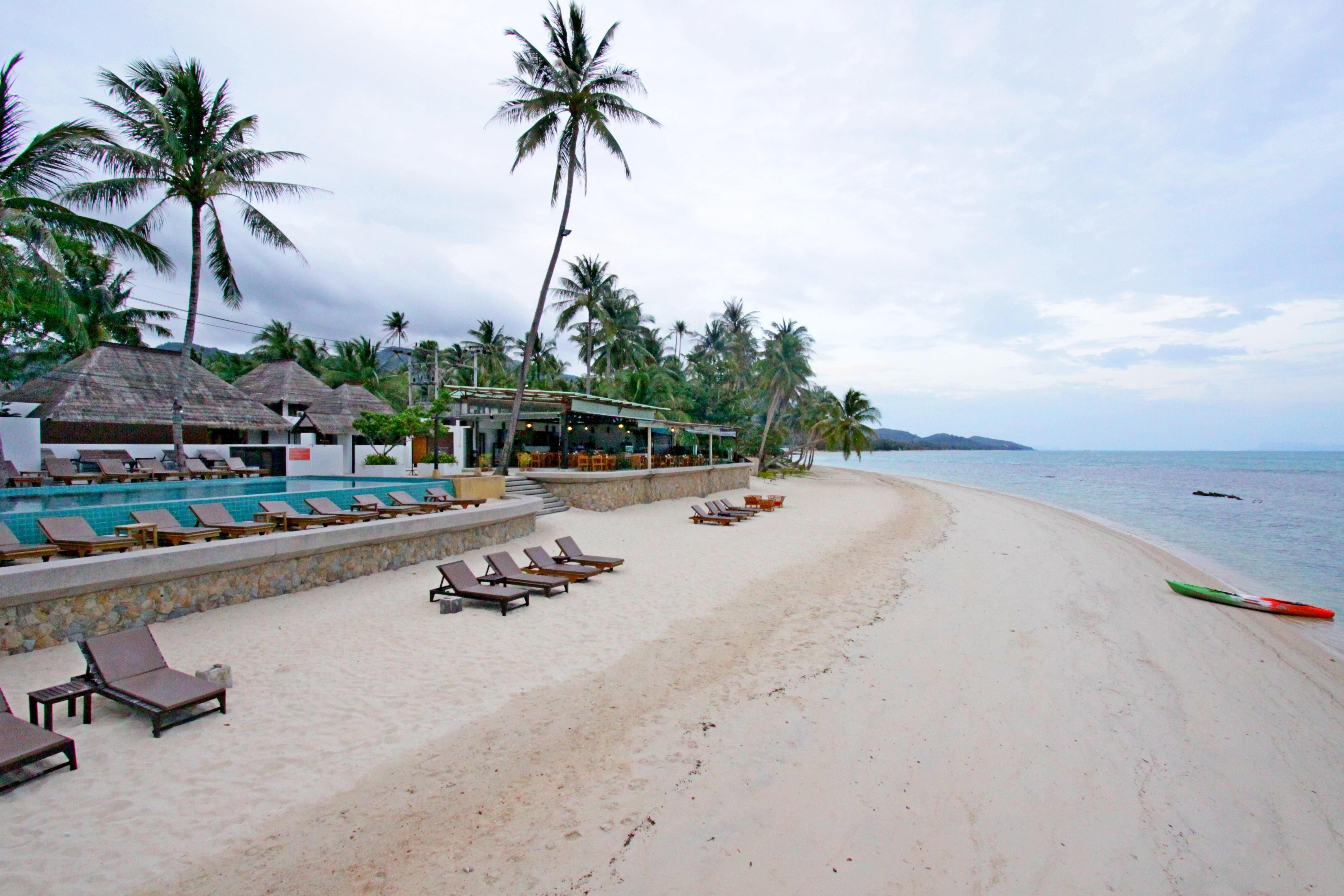 Mimosa & Resort 4*