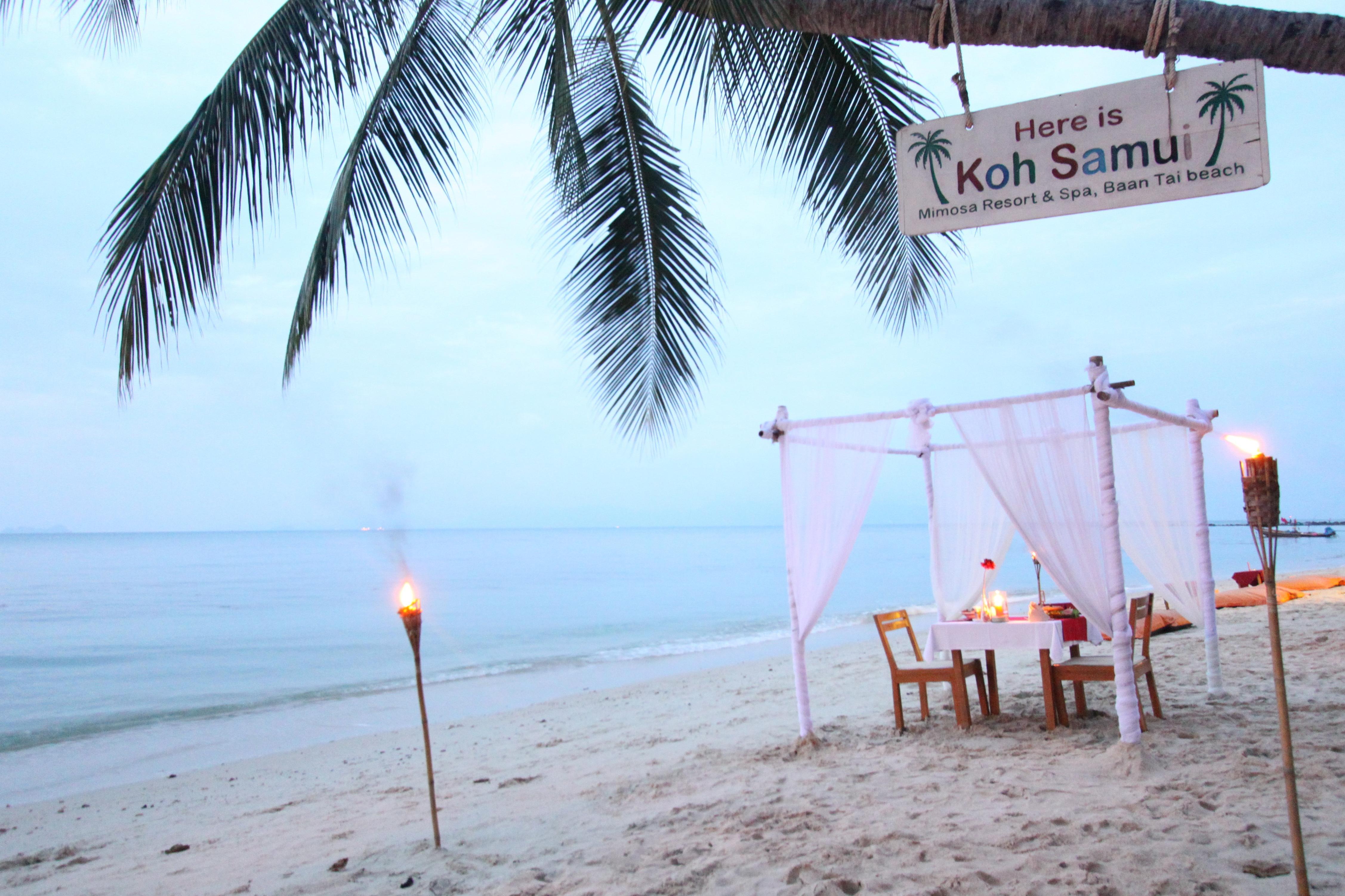 Resort Mimosa & Koh Samui