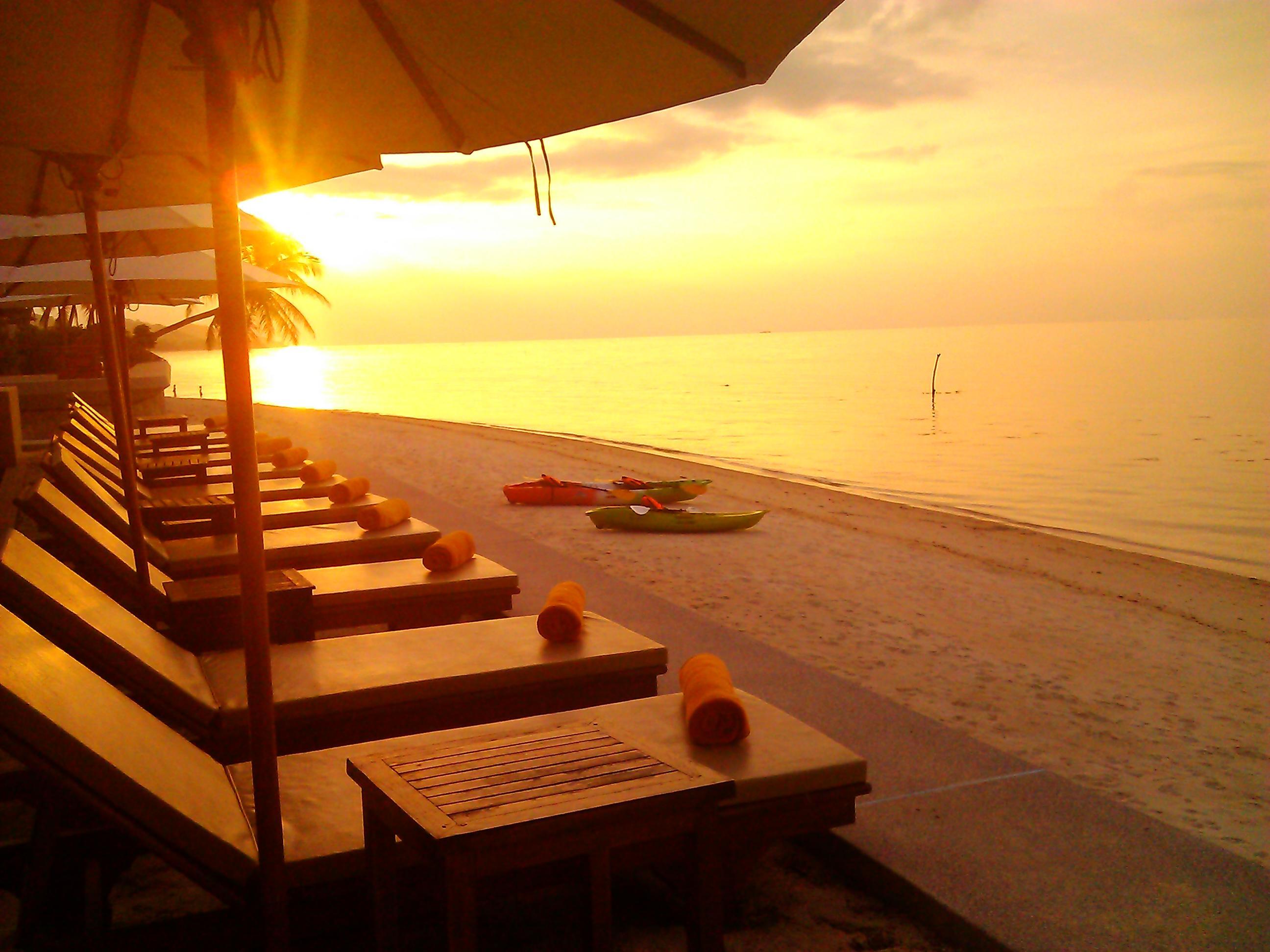 Resort Mimosa &