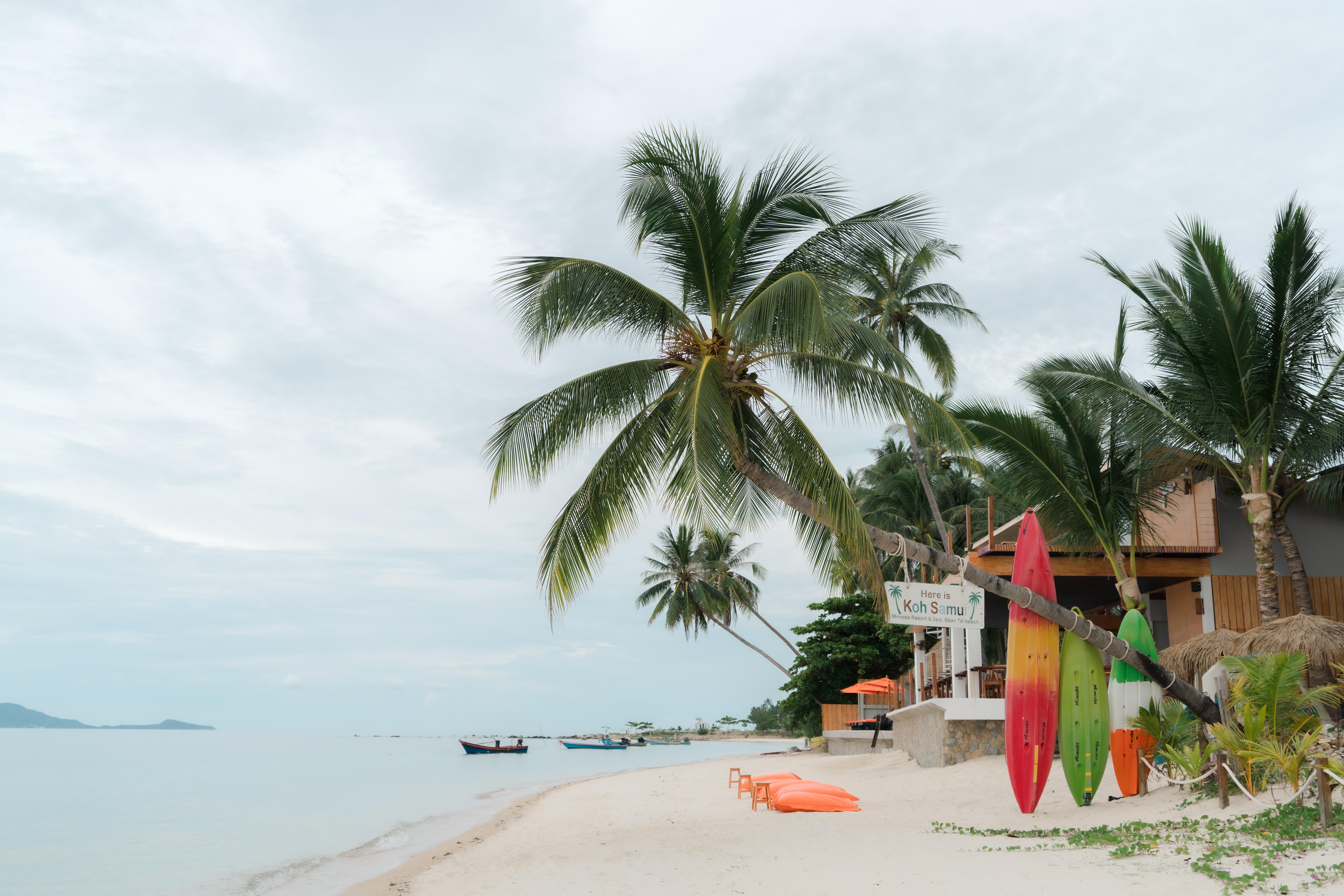 Resort Mimosa & 4*