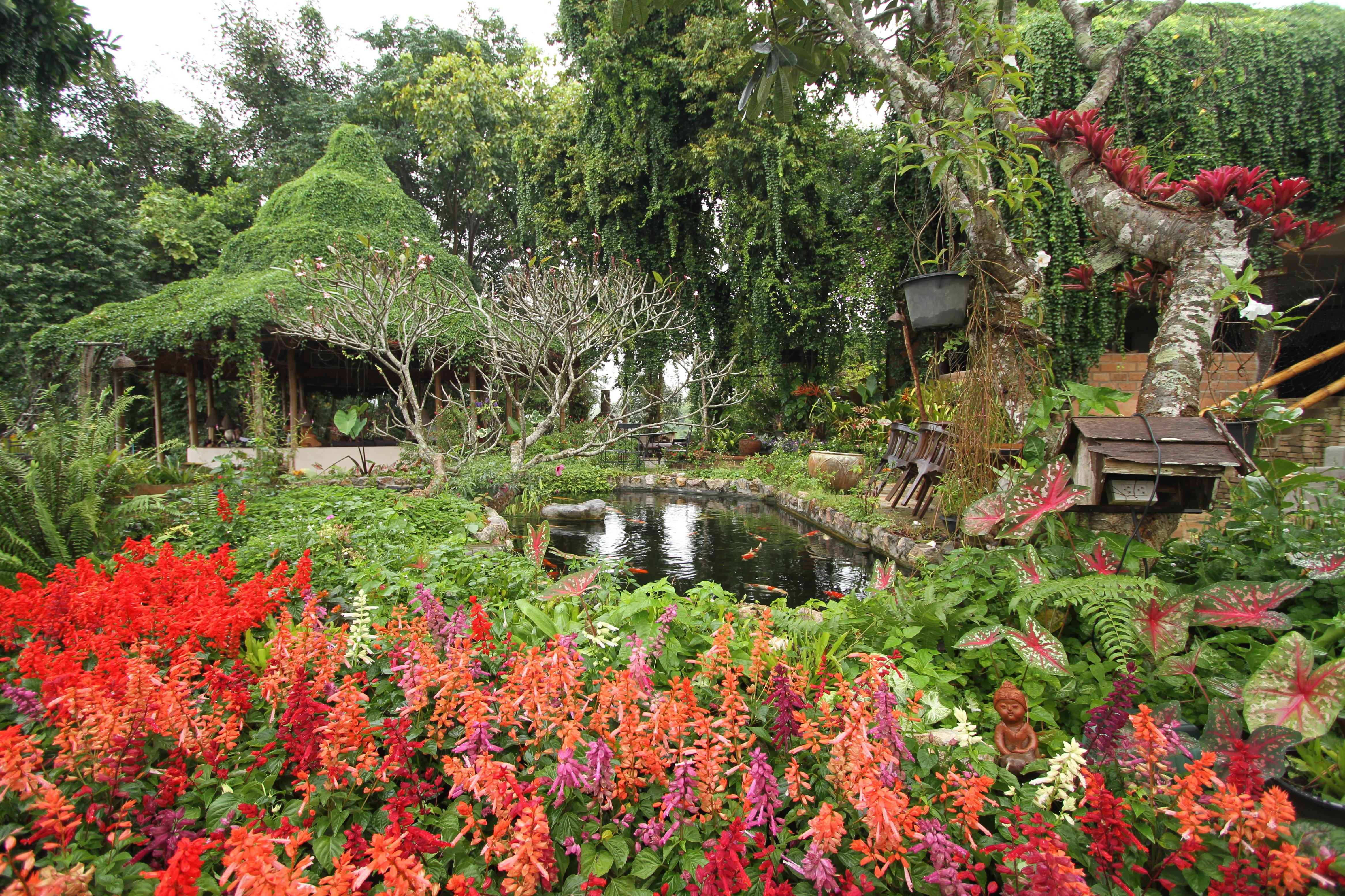 Phu Chaisai Chiang Rai Mountain