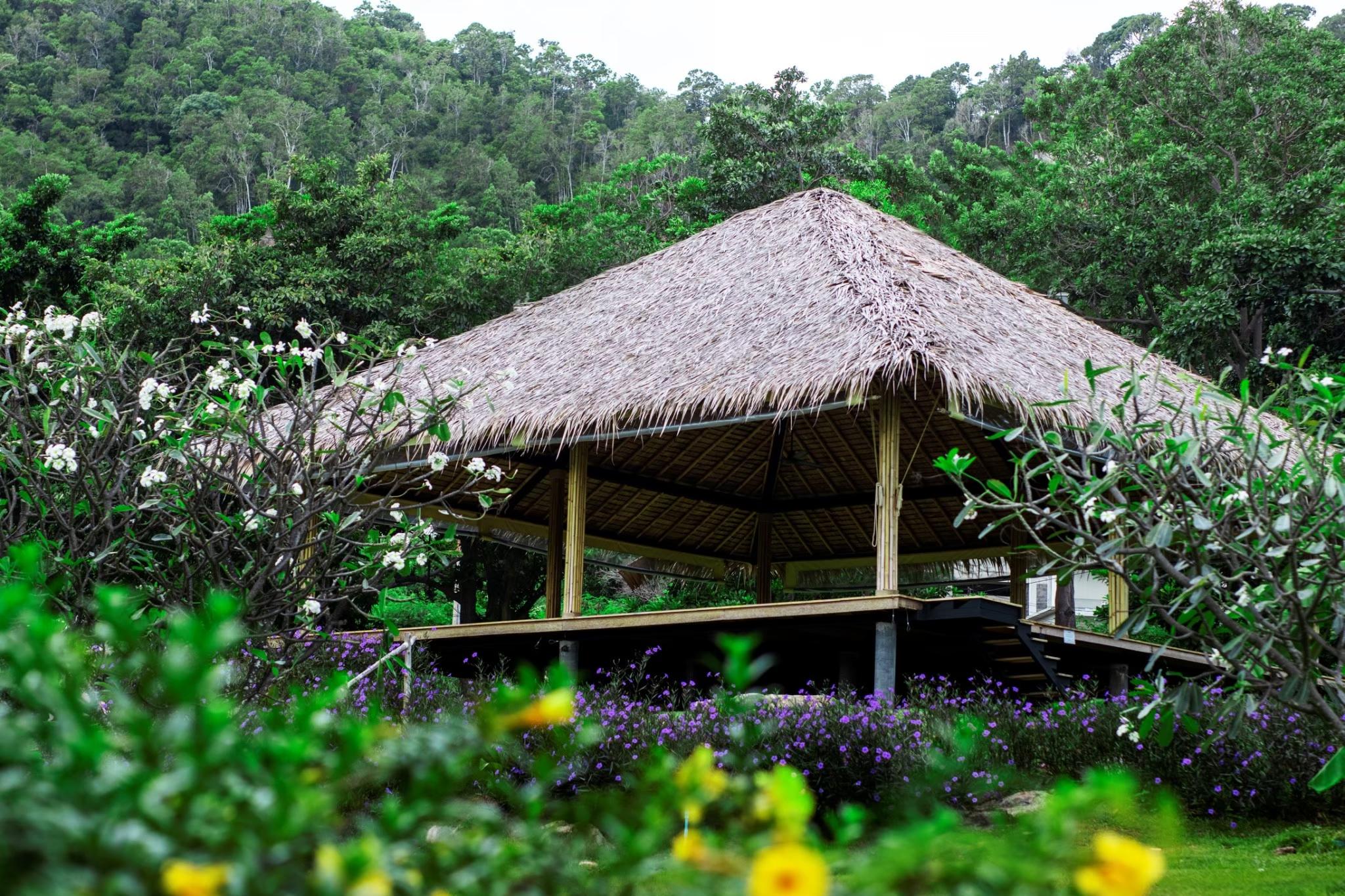 Absolute Sanctuary (adults Only)