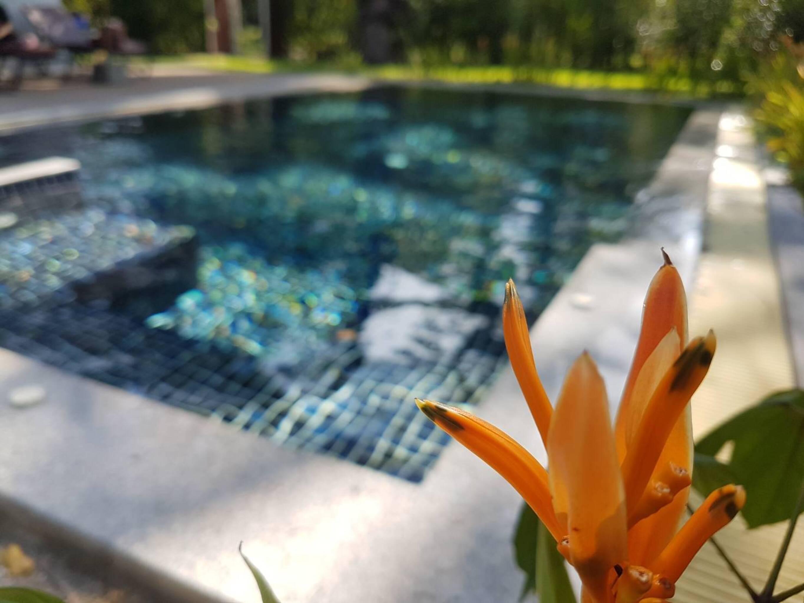 Alisea Pool Aonang