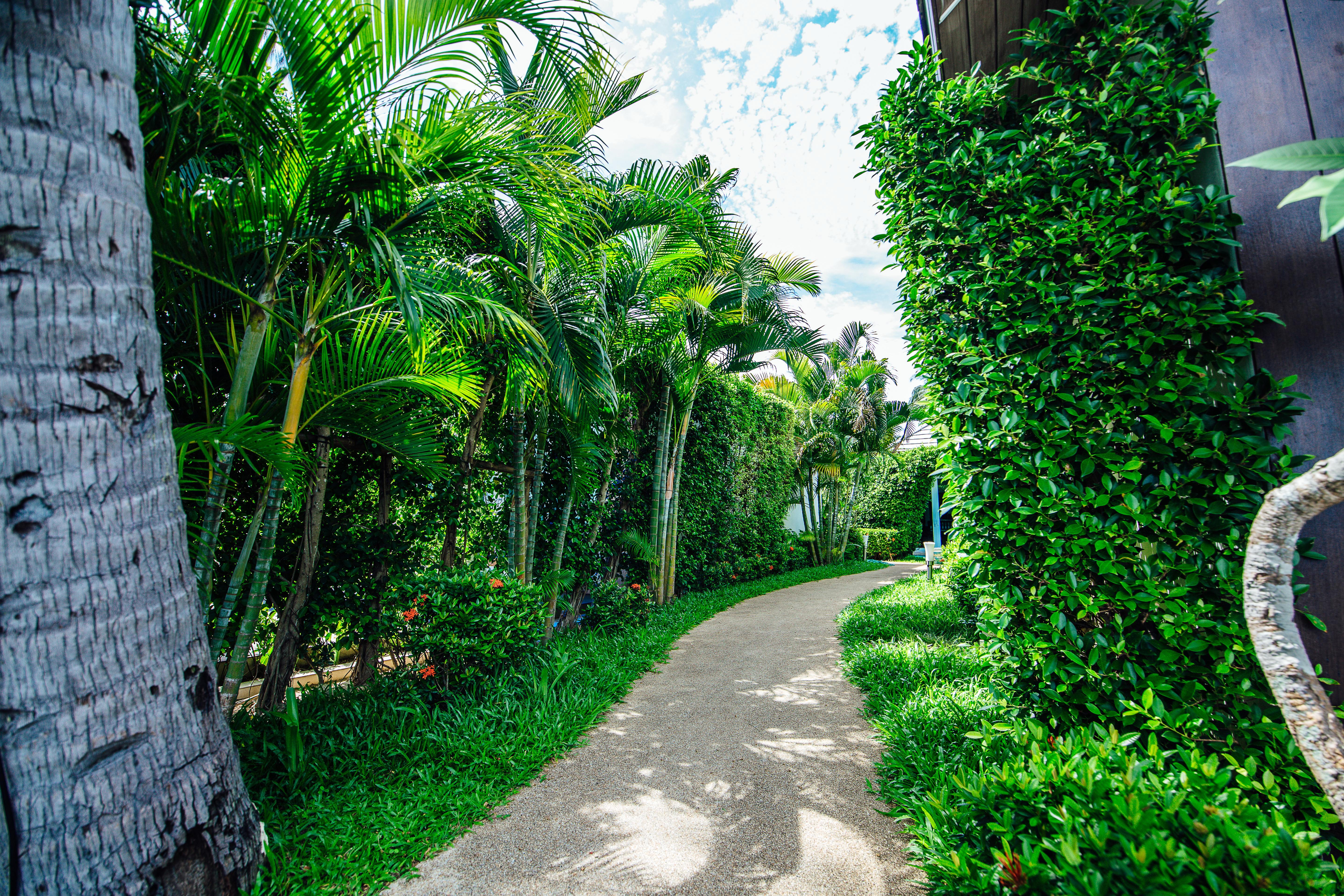 Resort Sea Valley Lipa Noi
