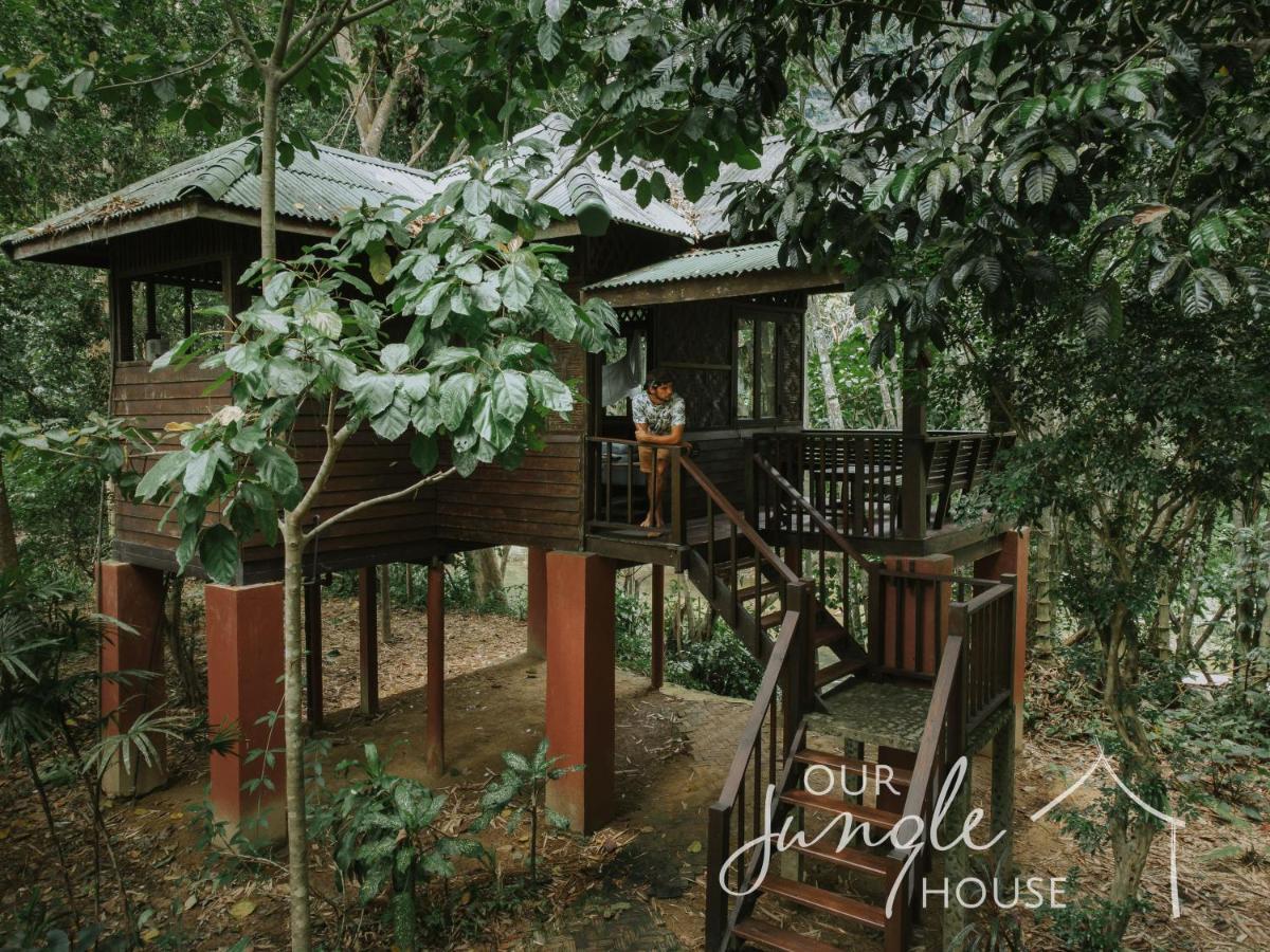 Our Jungle House