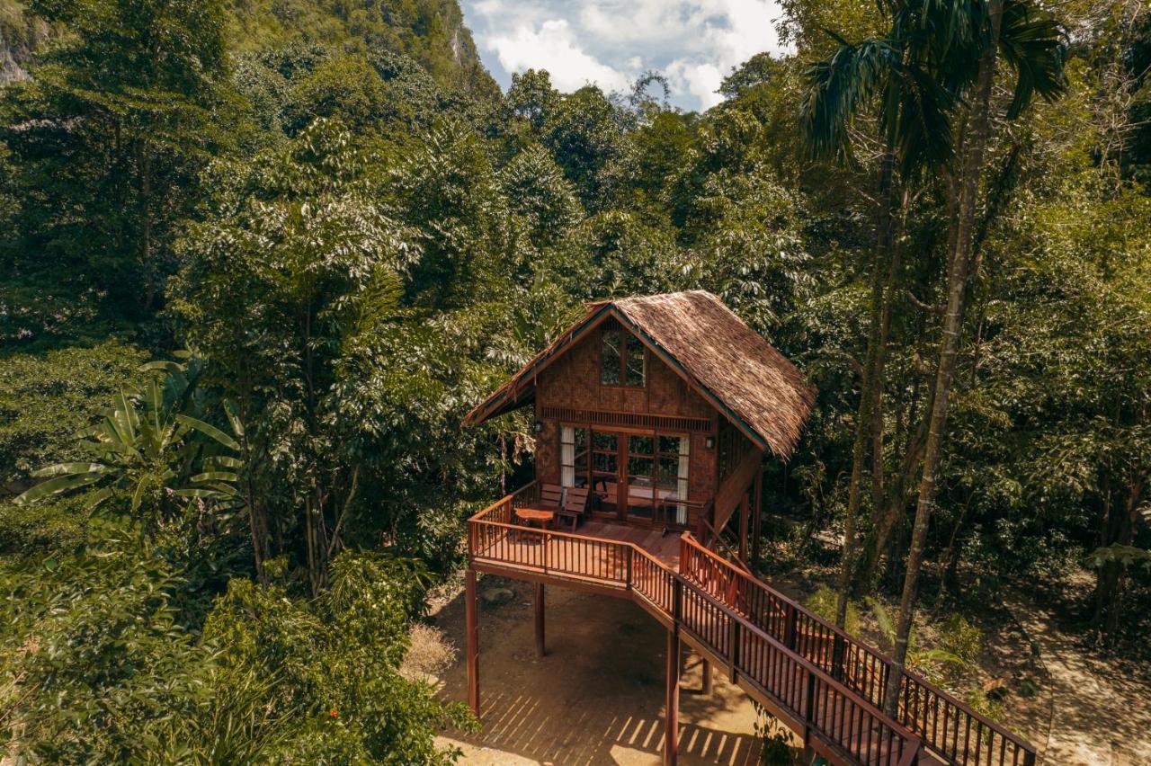 Our Jungle House 3*