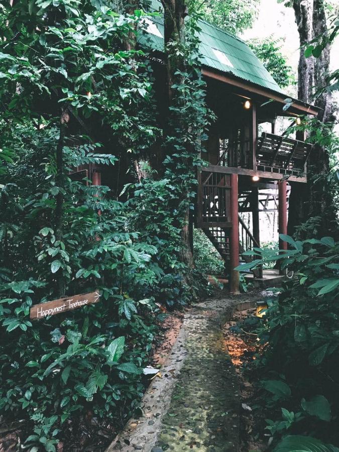 Our Jungle House