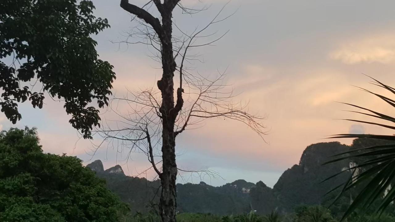 Phu Siab Mhok@khaosok * Khao Sok National Park