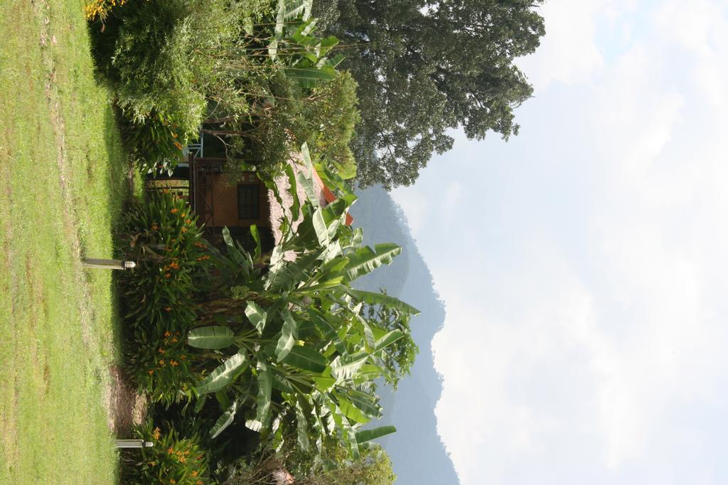 Holiday park Good Morning 2*