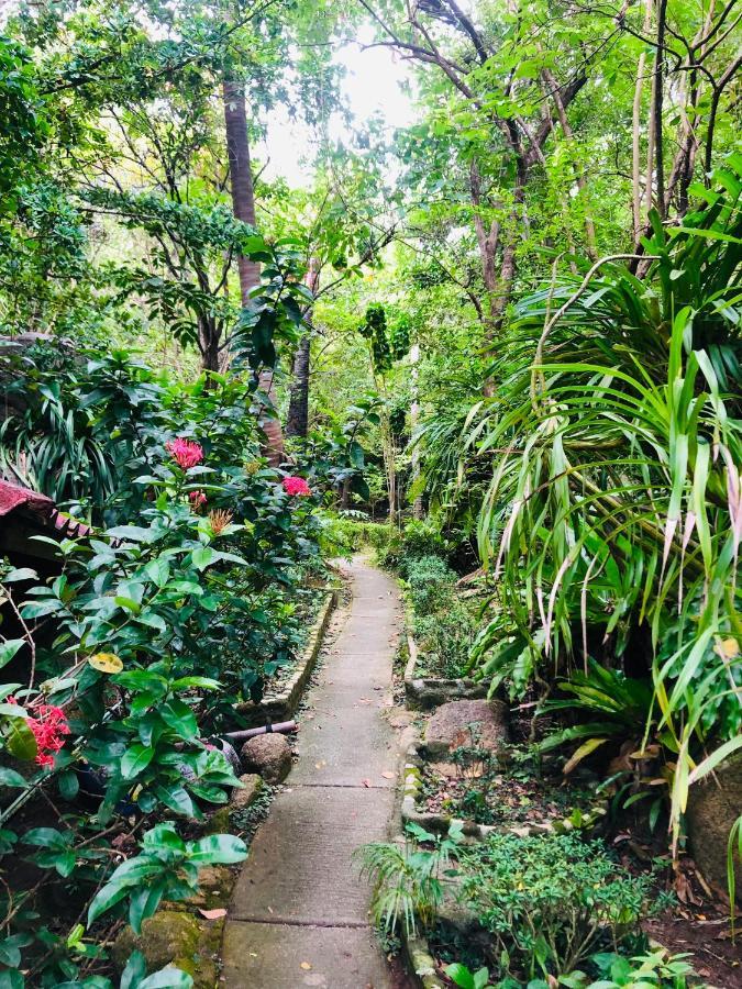 Bambu Huts * Baan Tai