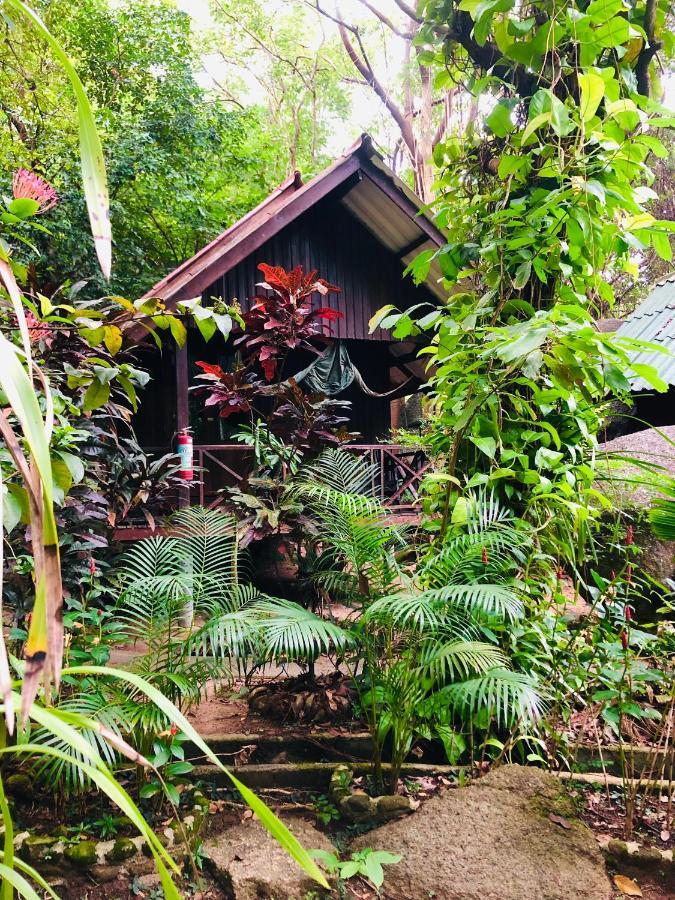 Bambu Huts