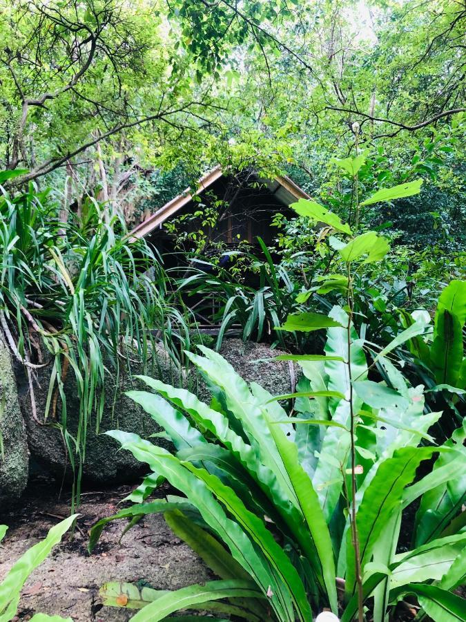 Bambu Huts *