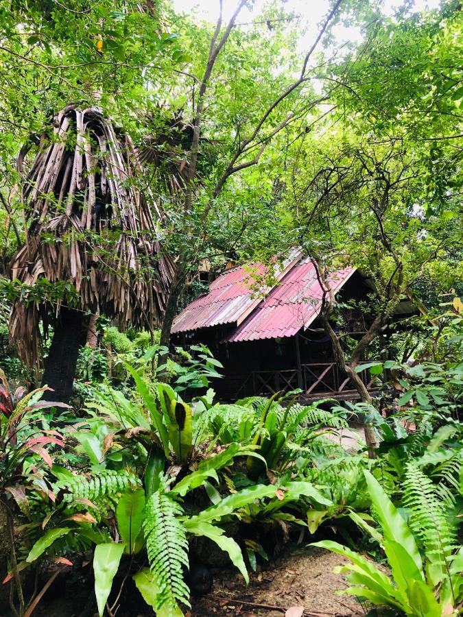 Resort Bambu Huts *
