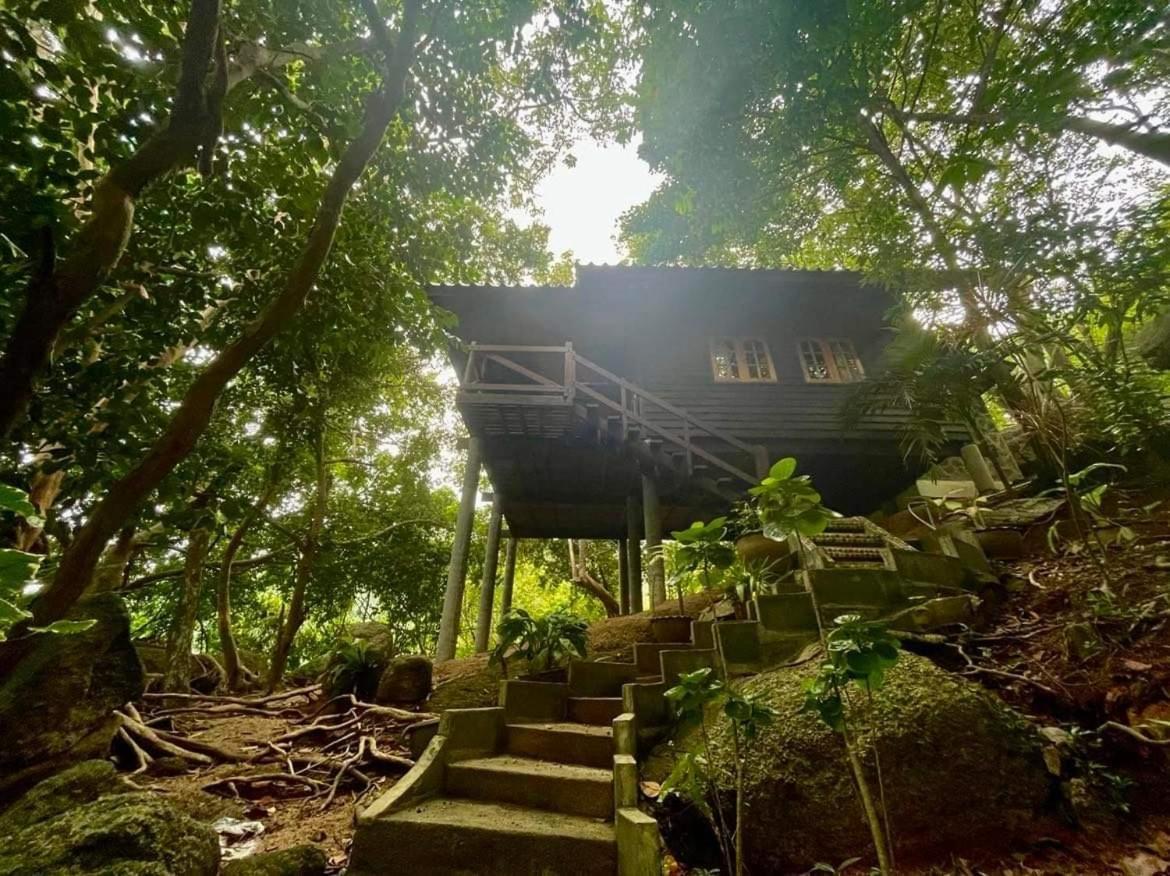 Resort Bambu Huts
