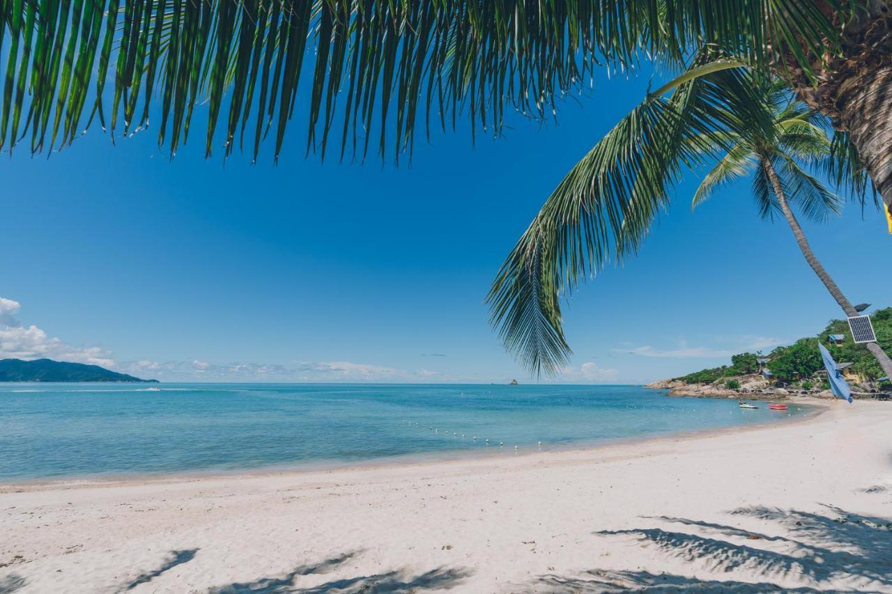 Samui Art