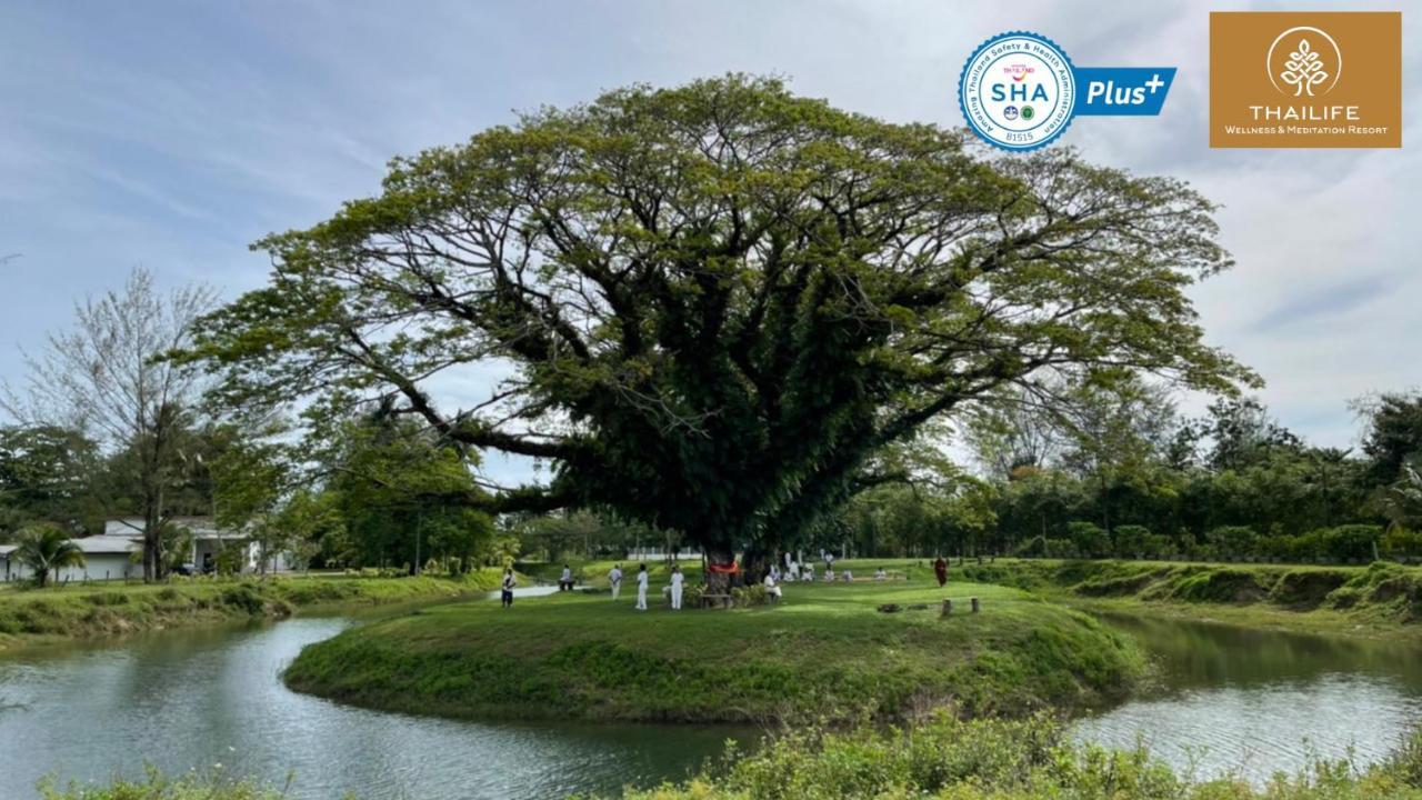 Thailife Wellness & Meditation Resort- Sha