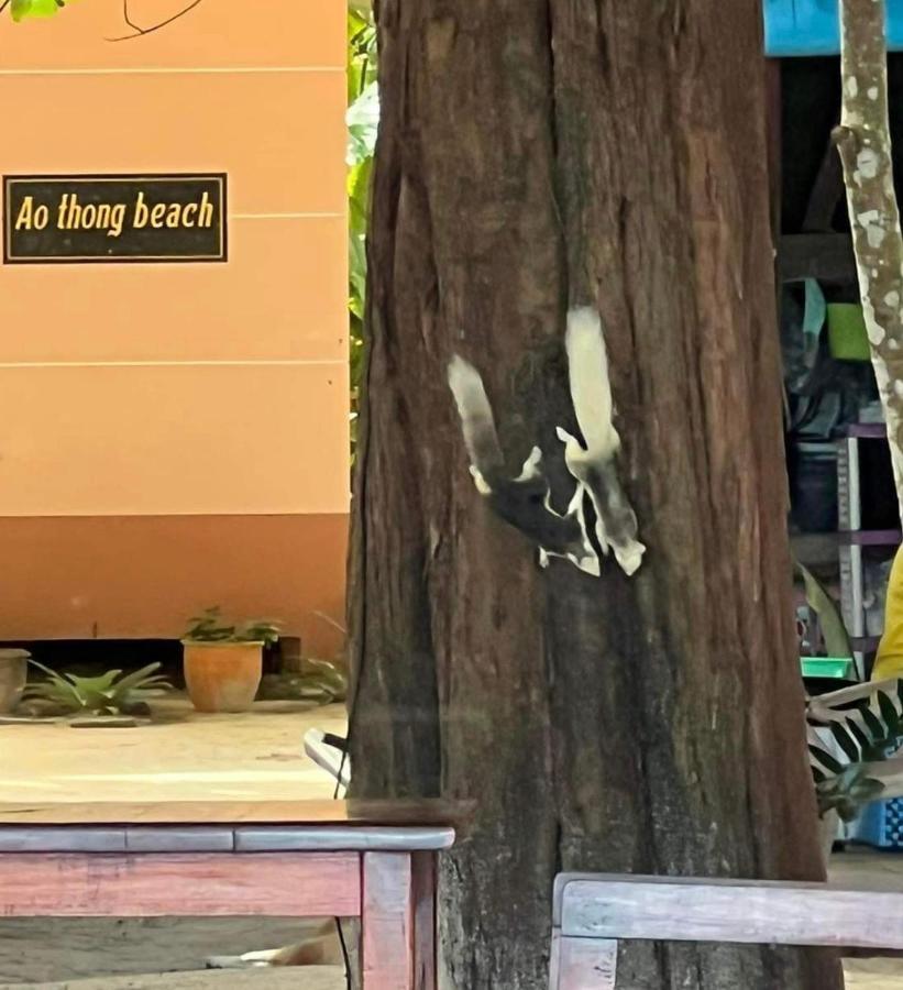 Ao Thong Bang Sak