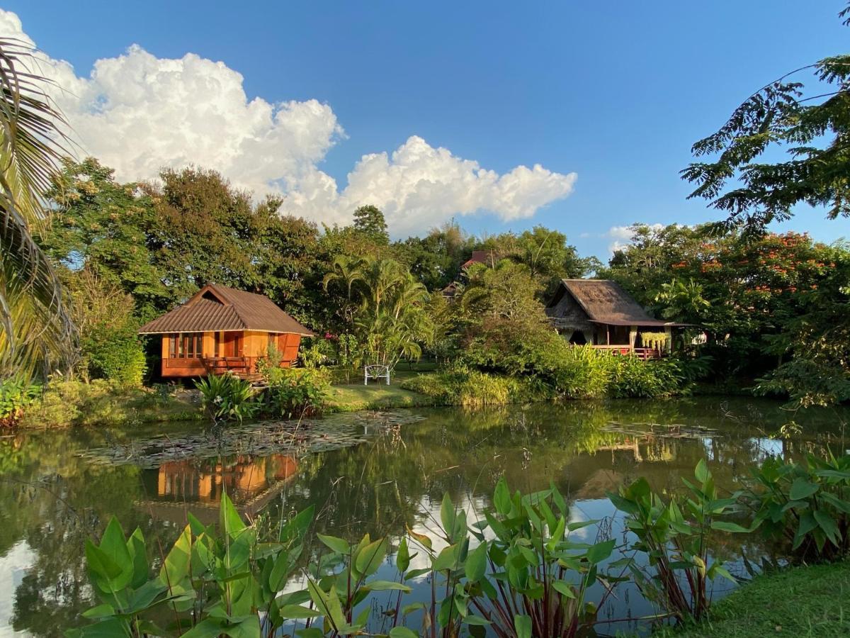 Pura Vida
