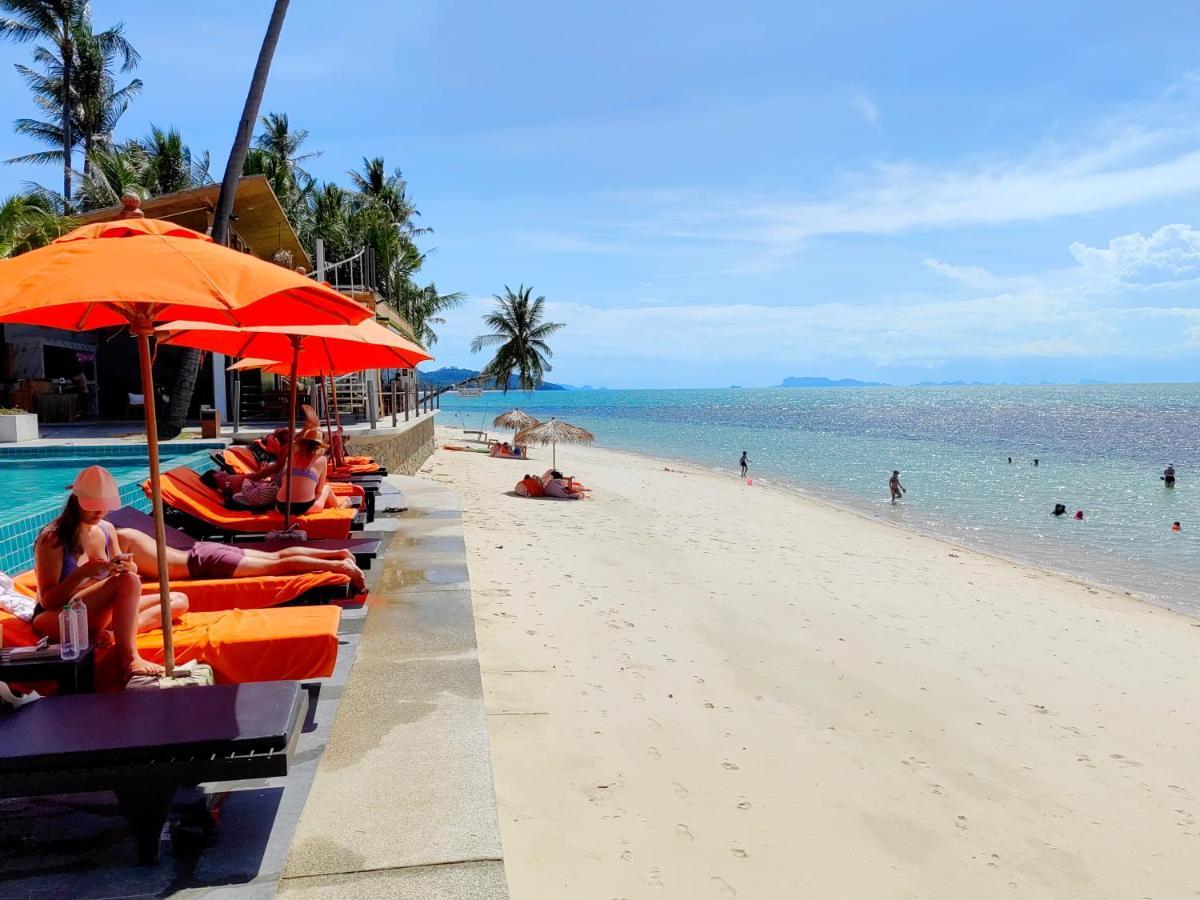 Resort Mimosa & 4*