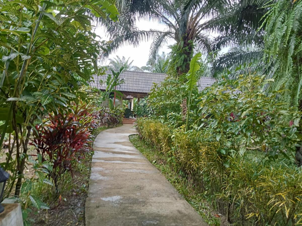 Resort Khao Sok Palm Garden Khao Sok National Park
