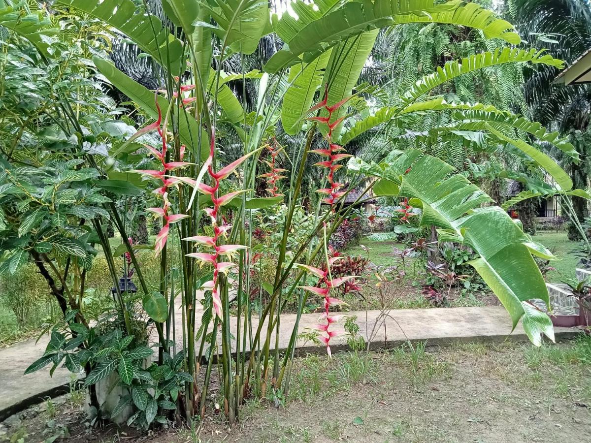 Resort Khao Sok Palm Garden Khao Sok National Park