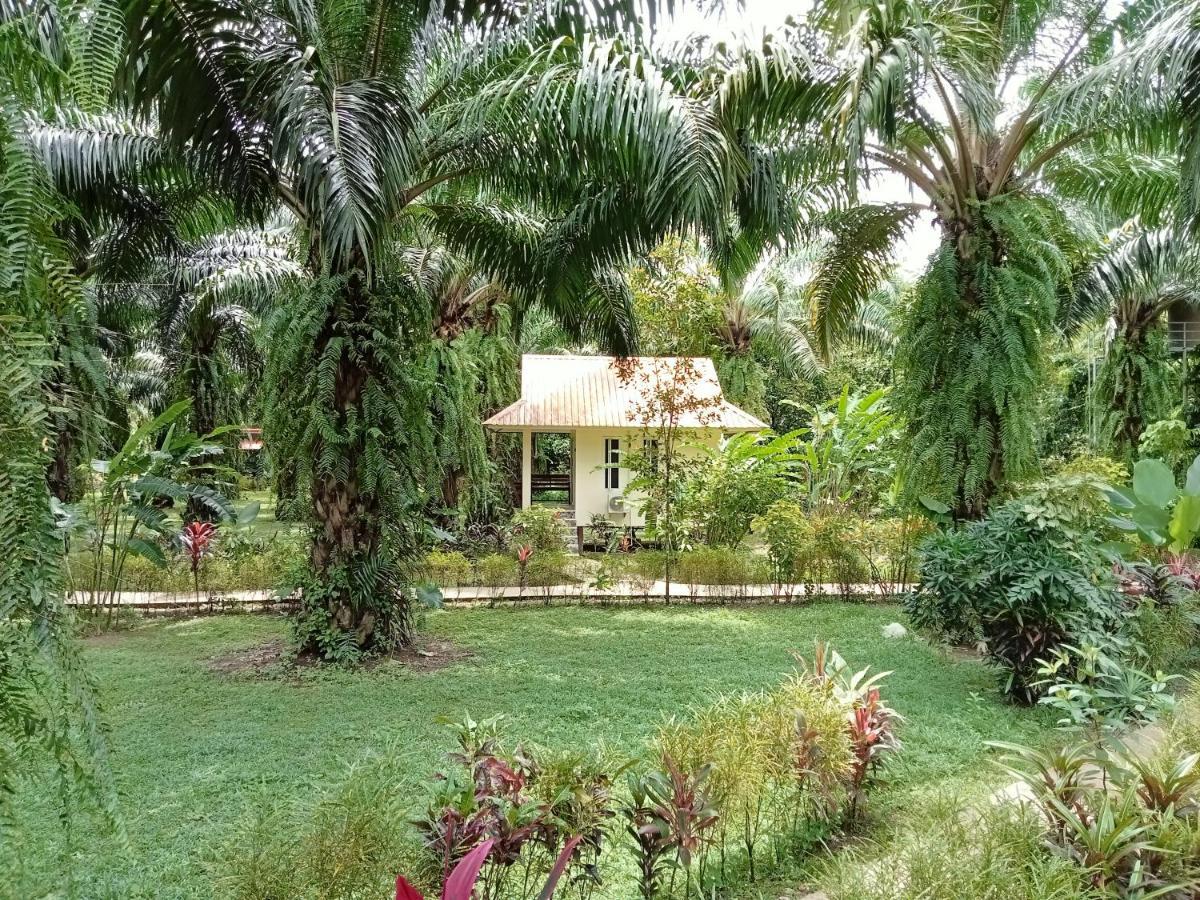 Khao Sok Palm Garden 2* Khao Sok National Park