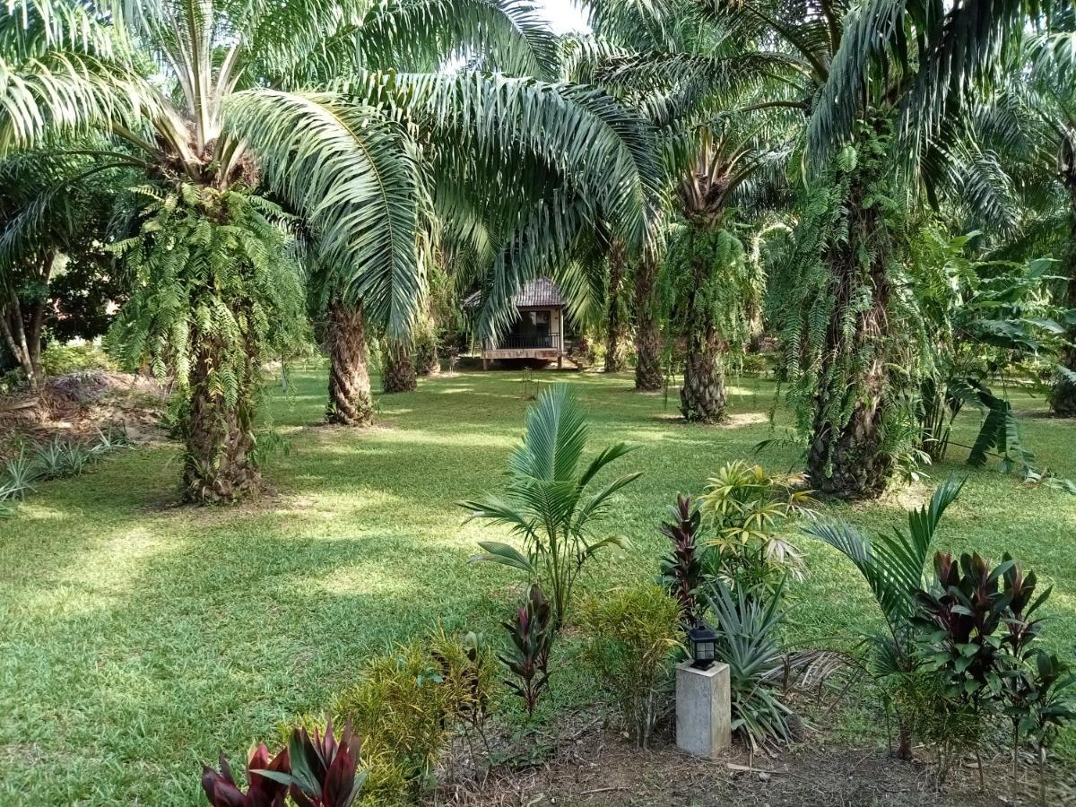Resort Khao Sok Palm Garden 2*