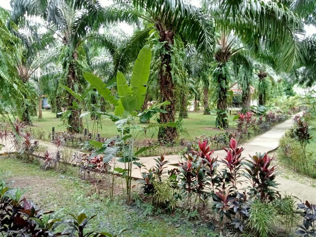 Khao Sok Palm Garden Resort Khao Sok National Park