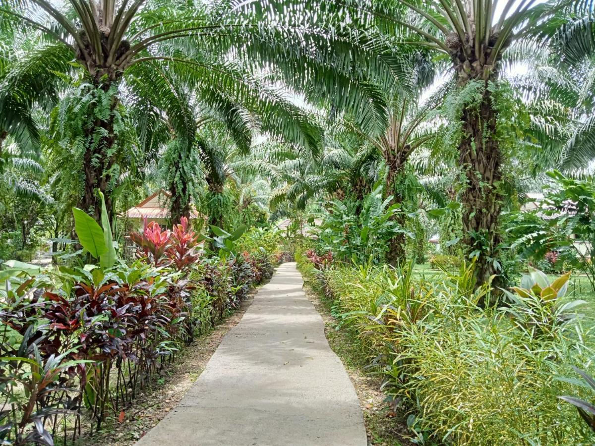 Khao Sok Palm Garden Resort