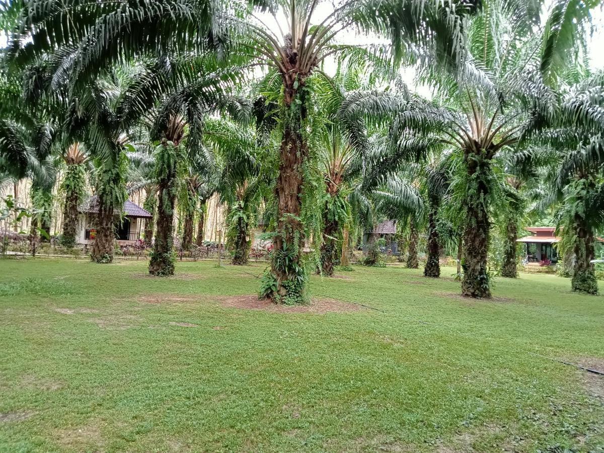 Resort Khao Sok Palm Garden Khao Sok National Park