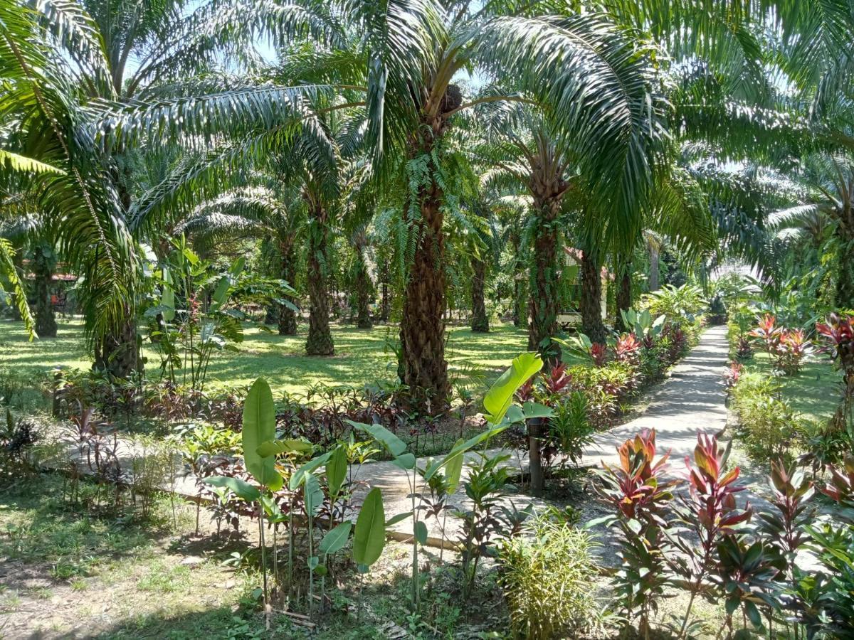 Resort Khao Sok Palm Garden