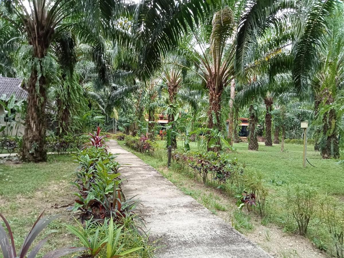 Khao Sok Palm Garden 2*
