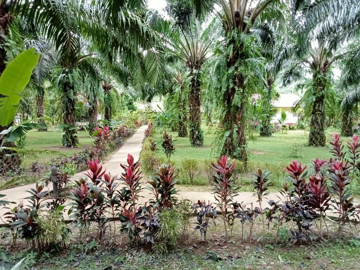 Resort Khao Sok Palm Garden 2*