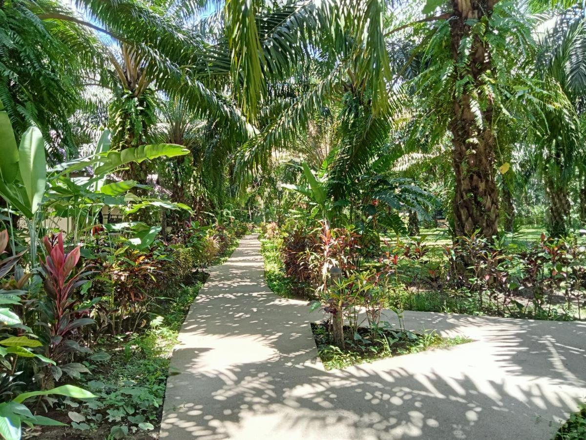 Khao Sok Palm Garden 2*