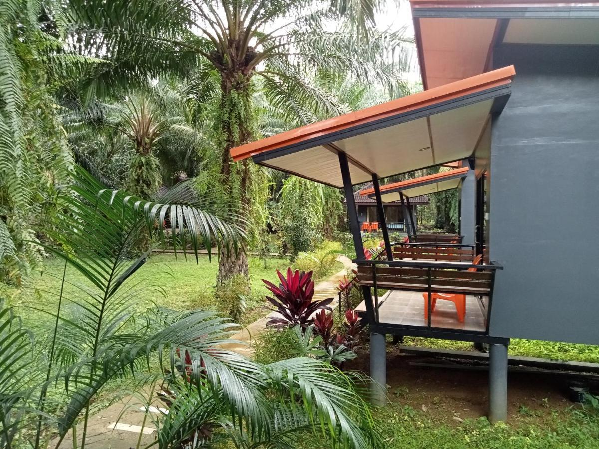Resort Khao Sok Palm Garden Khao Sok National Park