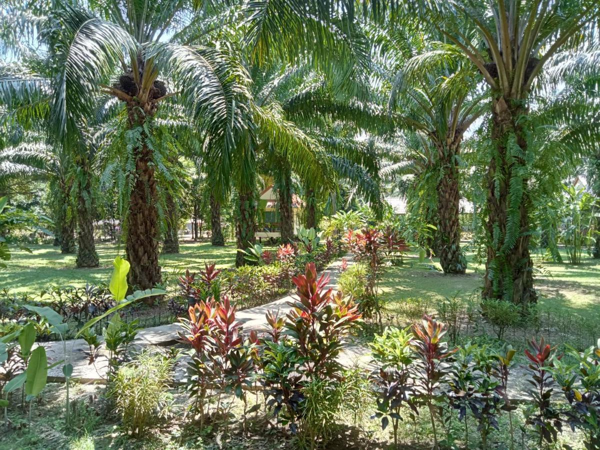 Resort Khao Sok Palm Garden