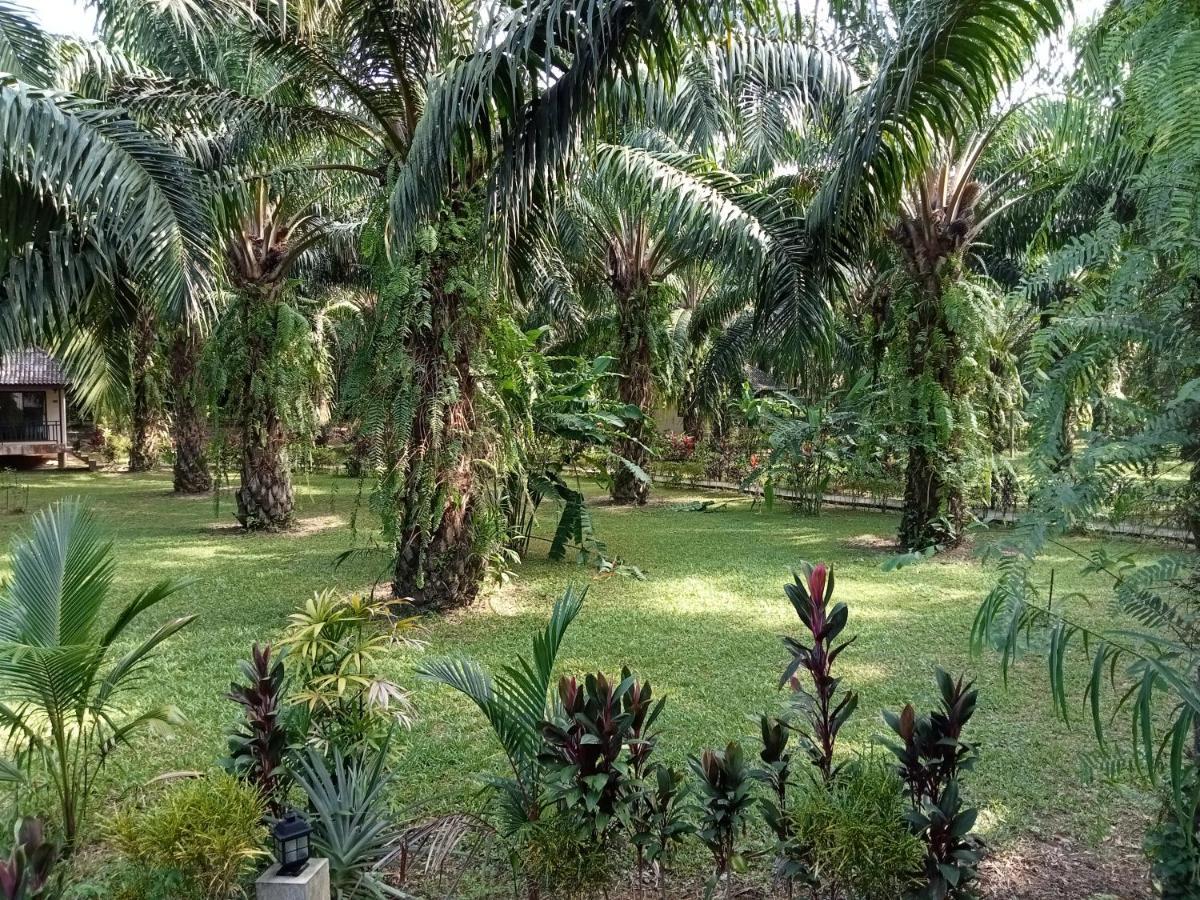 Resort Khao Sok Palm Garden