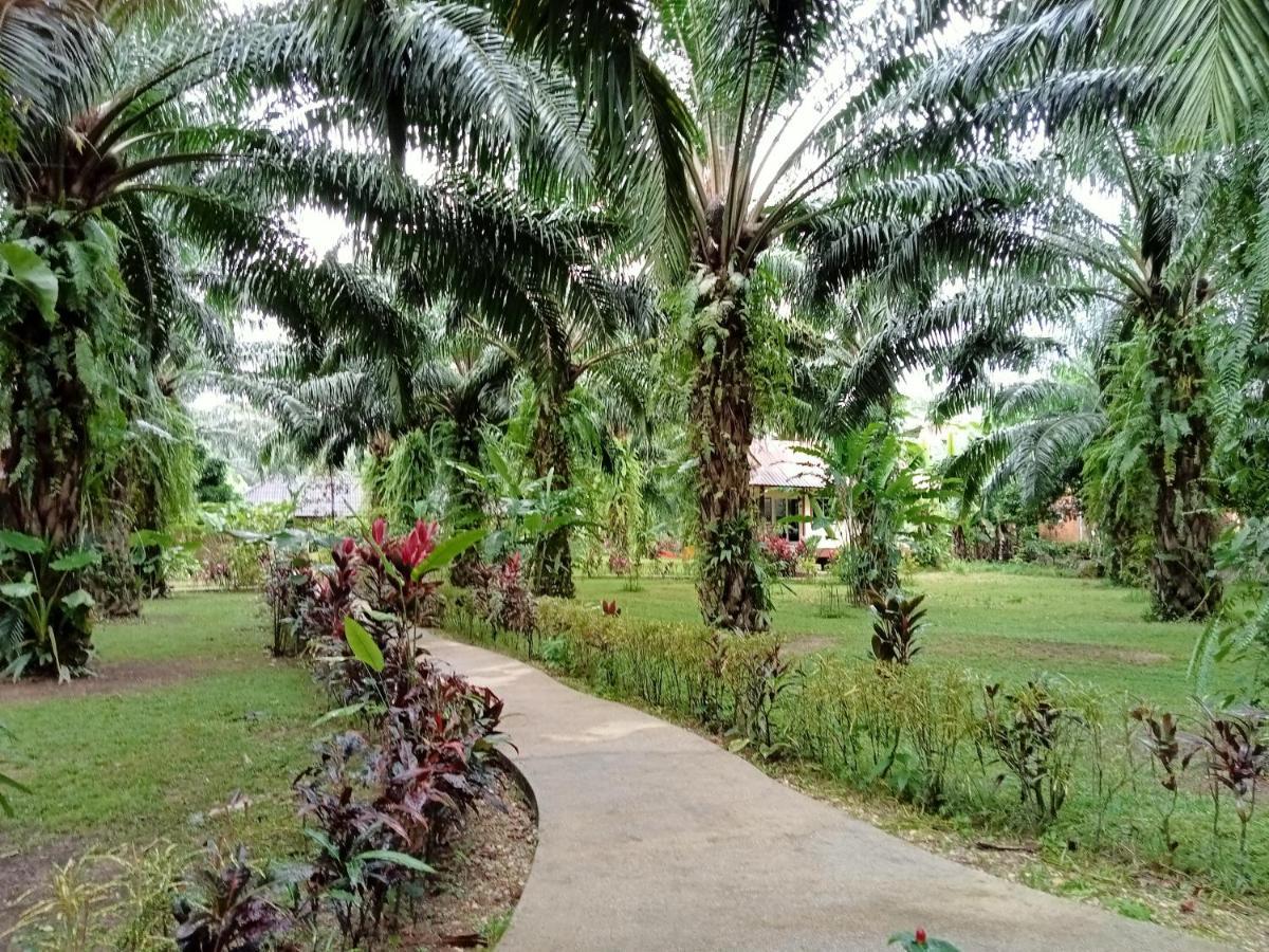 Resort Khao Sok Palm Garden 2*