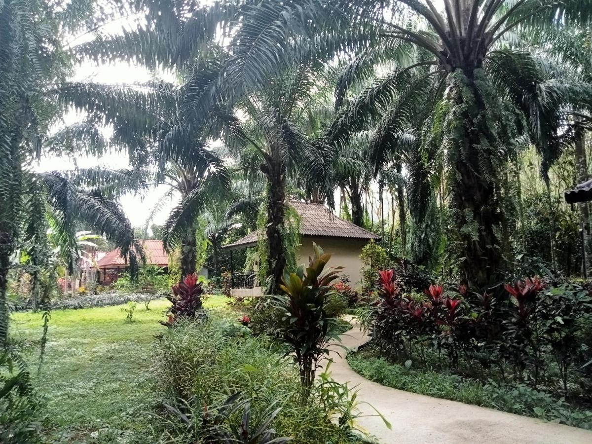 Resort Khao Sok Palm Garden 2*