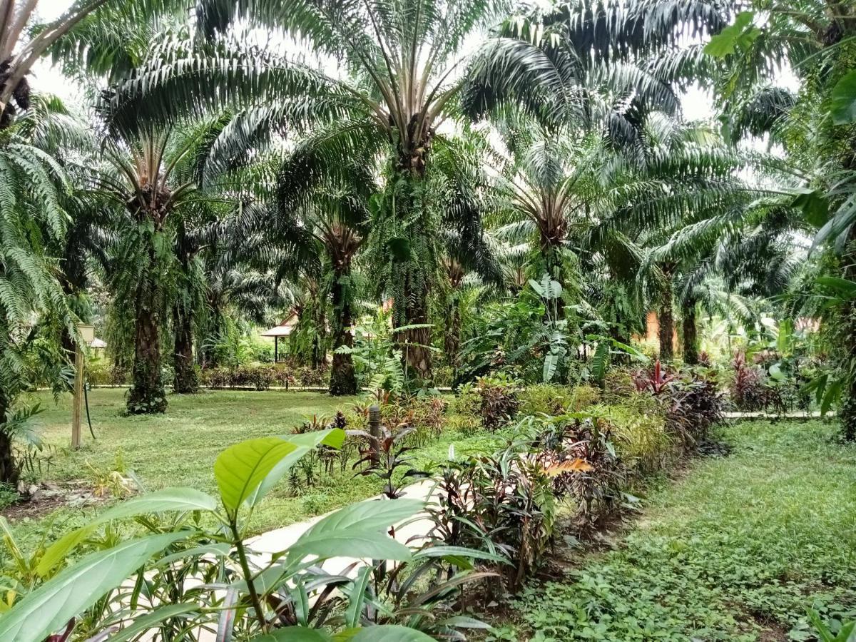 Khao Sok Palm Garden Resort Khao Sok National Park