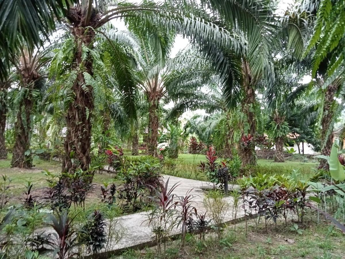 Khao Sok Palm Garden Resort 2*