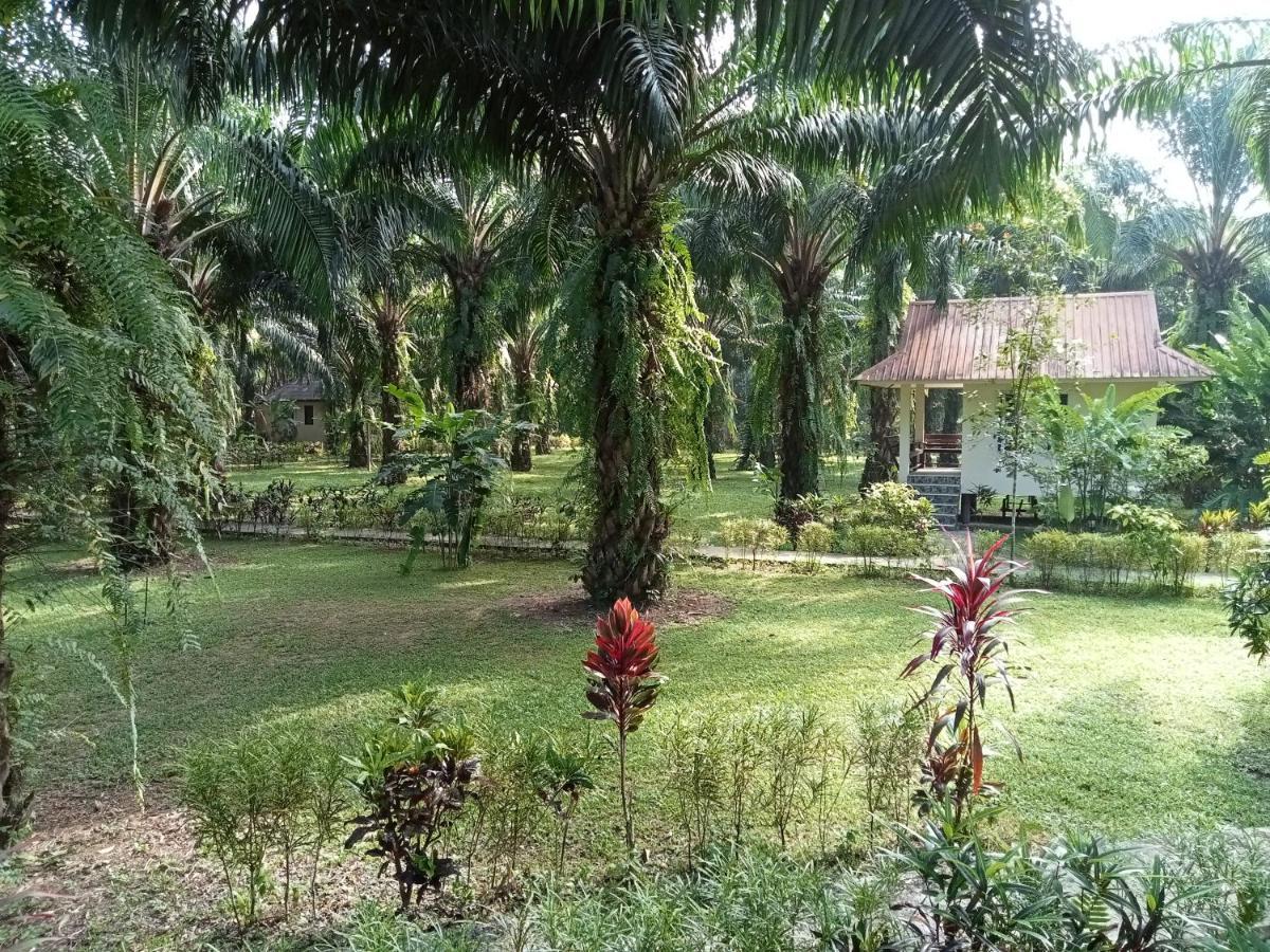 Resort Khao Sok Palm Garden Khao Sok National Park