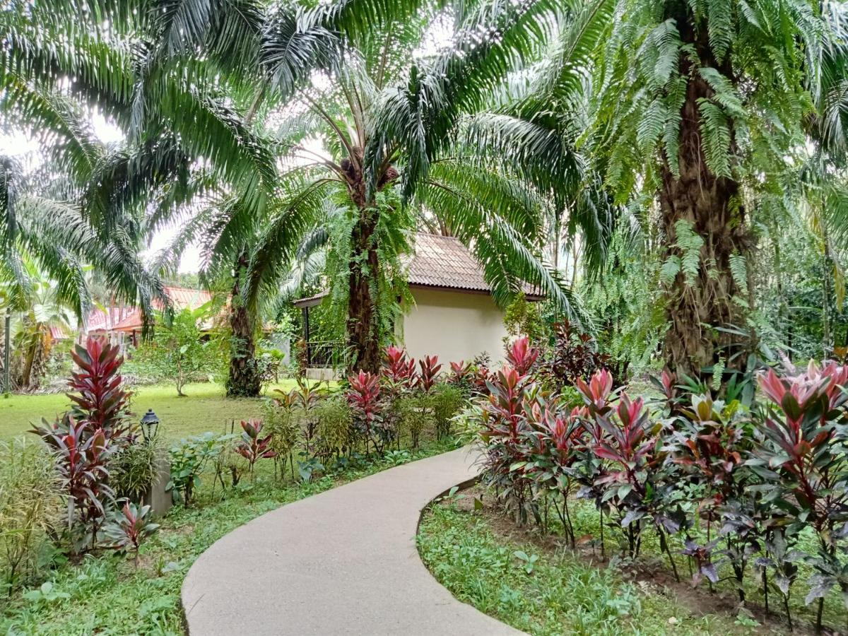 Khao Sok Palm Garden 2* Khao Sok National Park